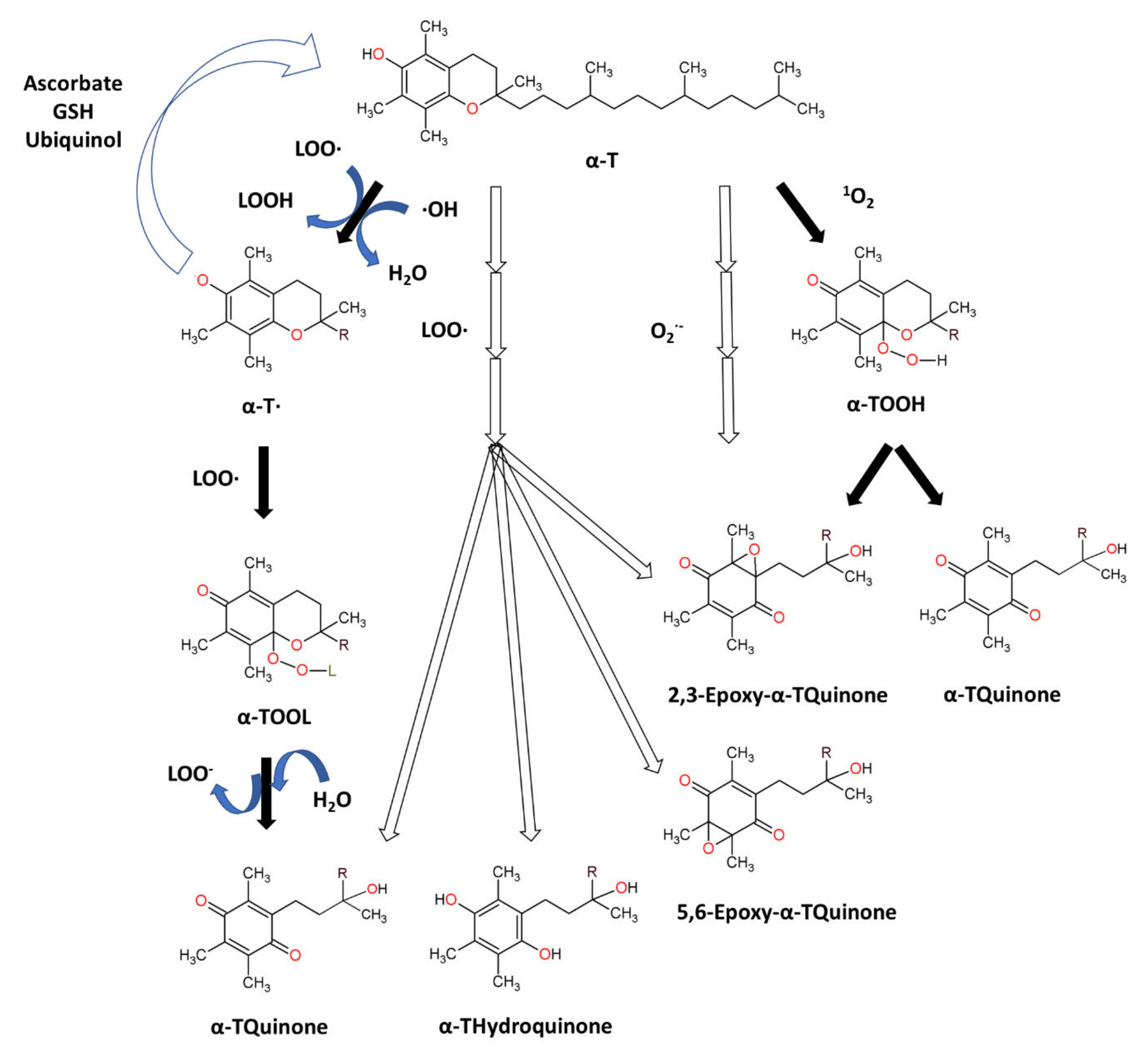 Biomolecules 12 01087 g003 Biomolecules 12 01087 g003