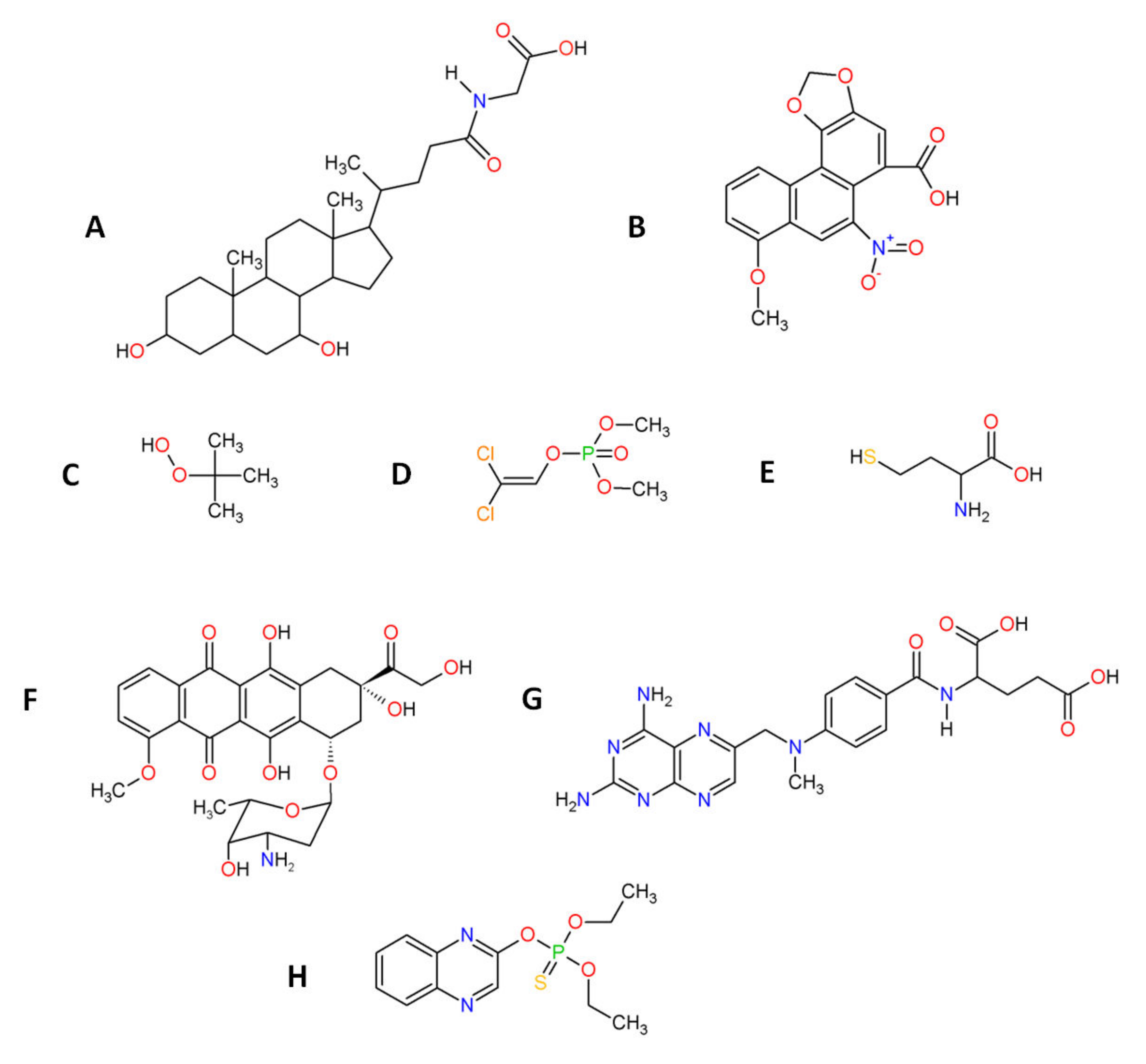 Biomolecules 12 01087 g005 Biomolecules 12 01087 g005