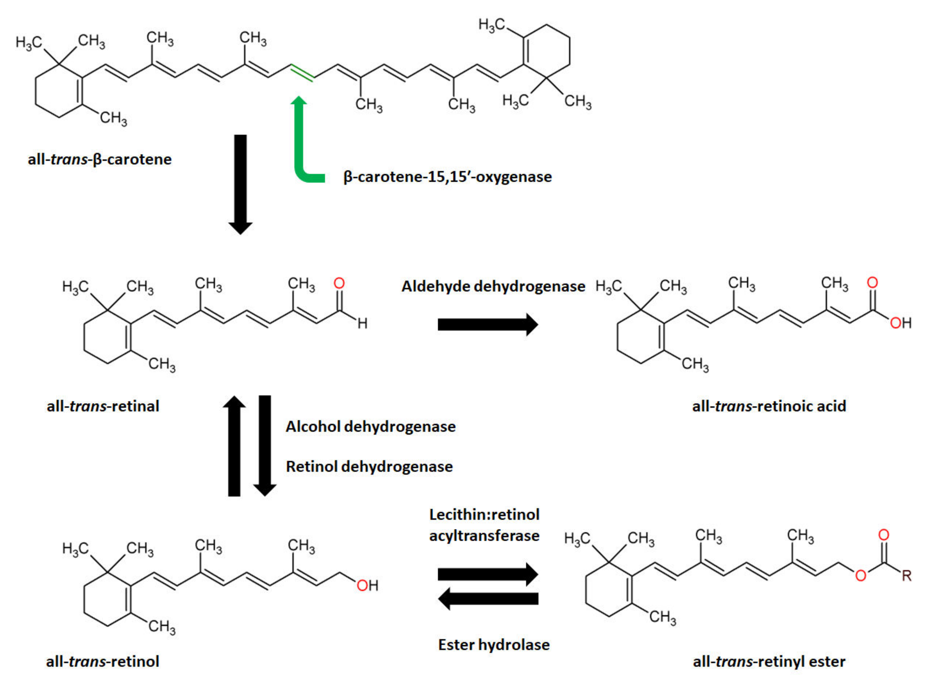 Biomolecules 12 01087 g006 Biomolecules 12 01087 g006