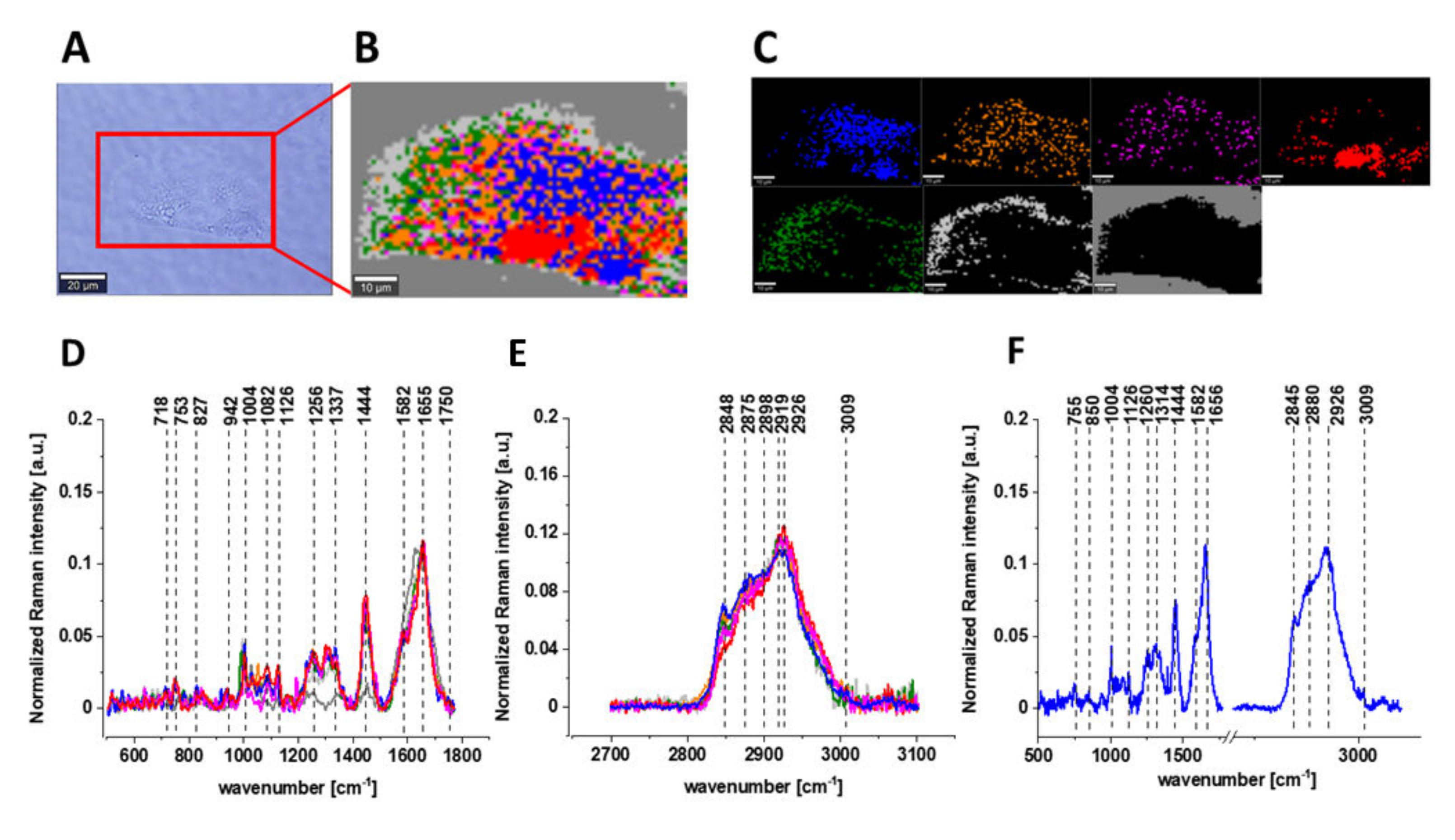 Biomolecules 12 01087 g007 Biomolecules 12 01087 g007