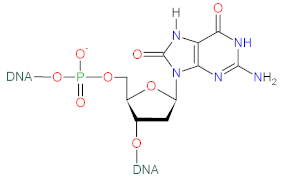 Biomolecules 12 01087 i007 Biomolecules 12 01087 i007
