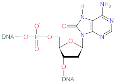Biomolecules 12 01087 i008 Biomolecules 12 01087 i008