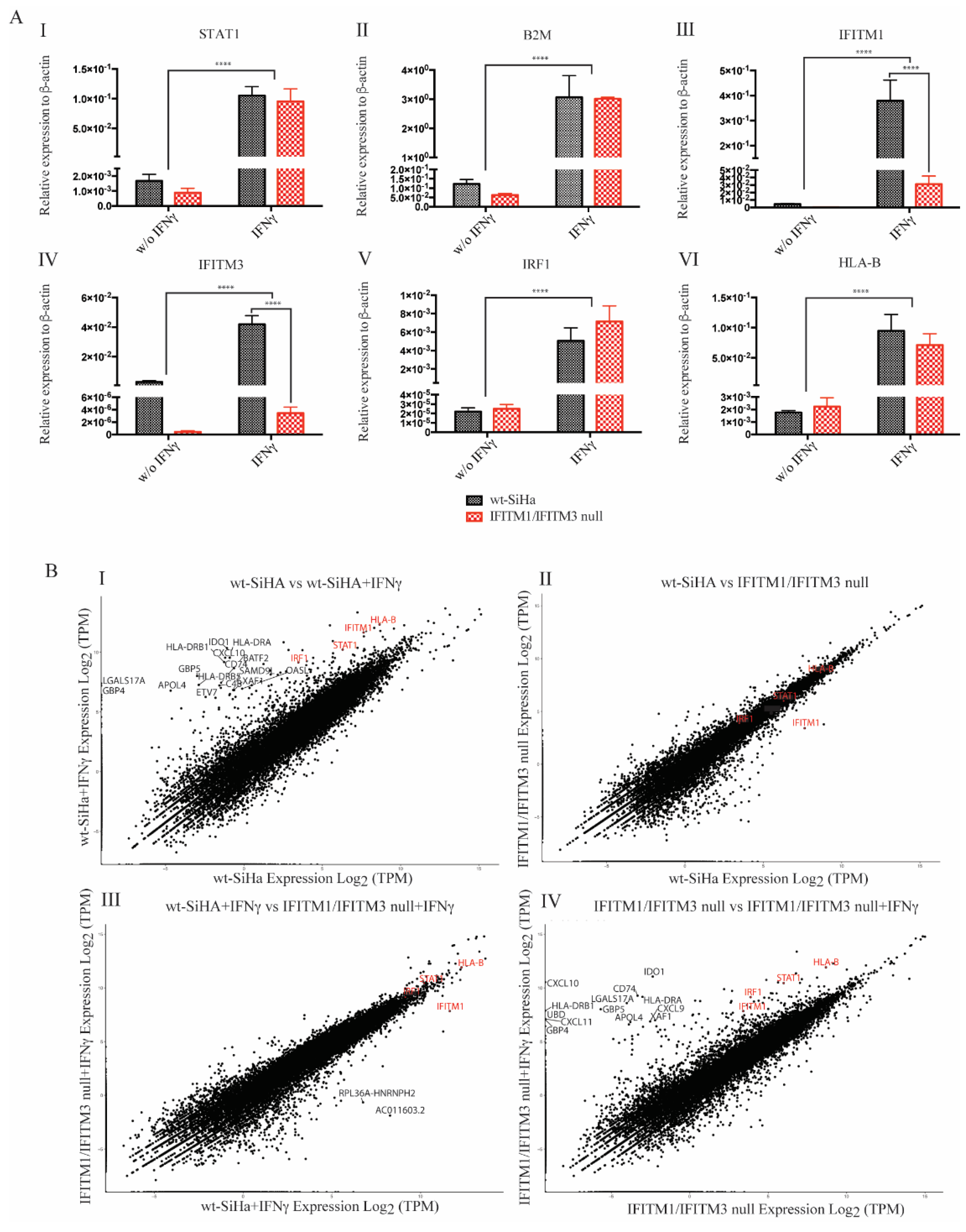 Biomolecules 12 01090 g003