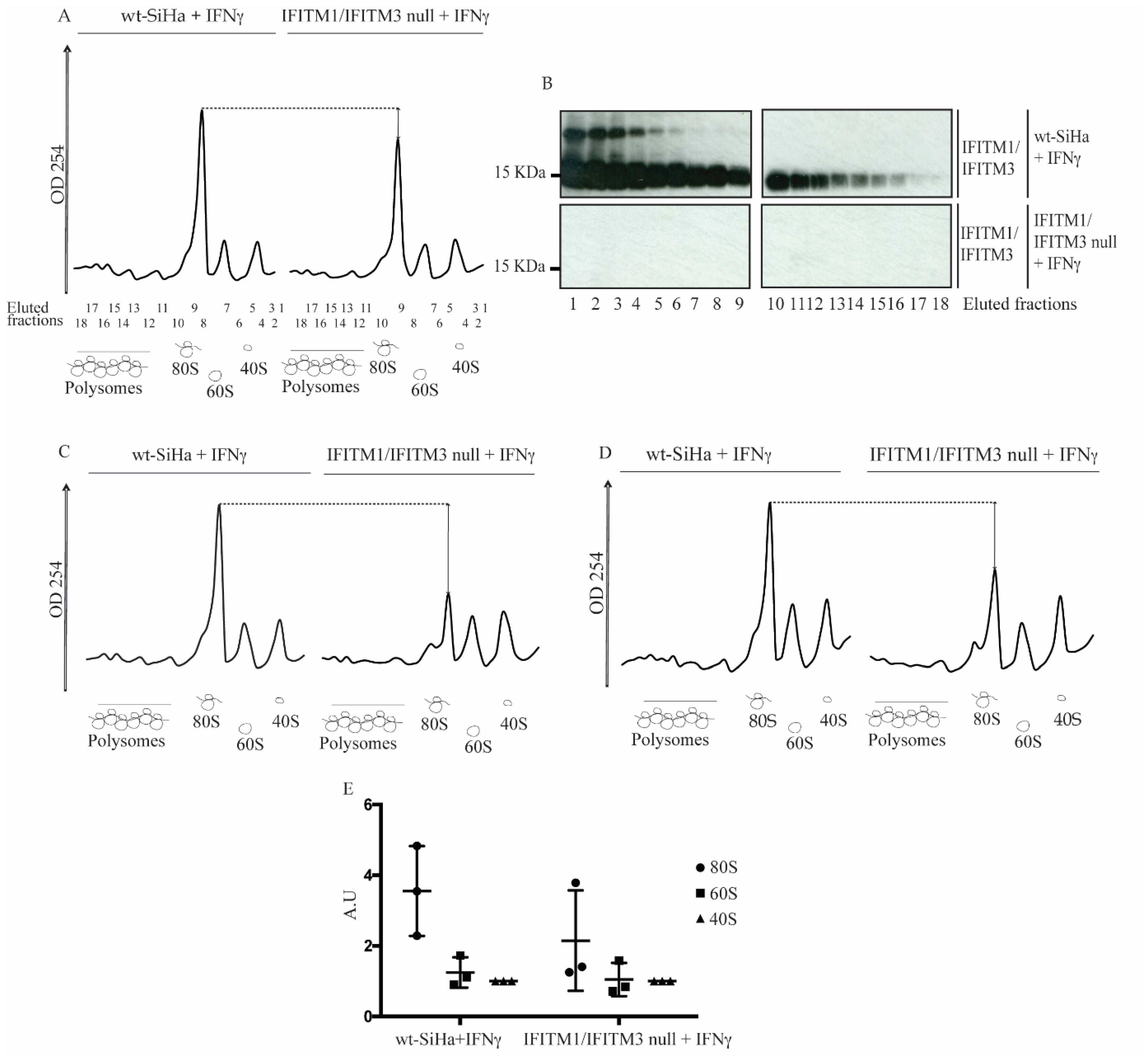 Biomolecules 12 01090 g005