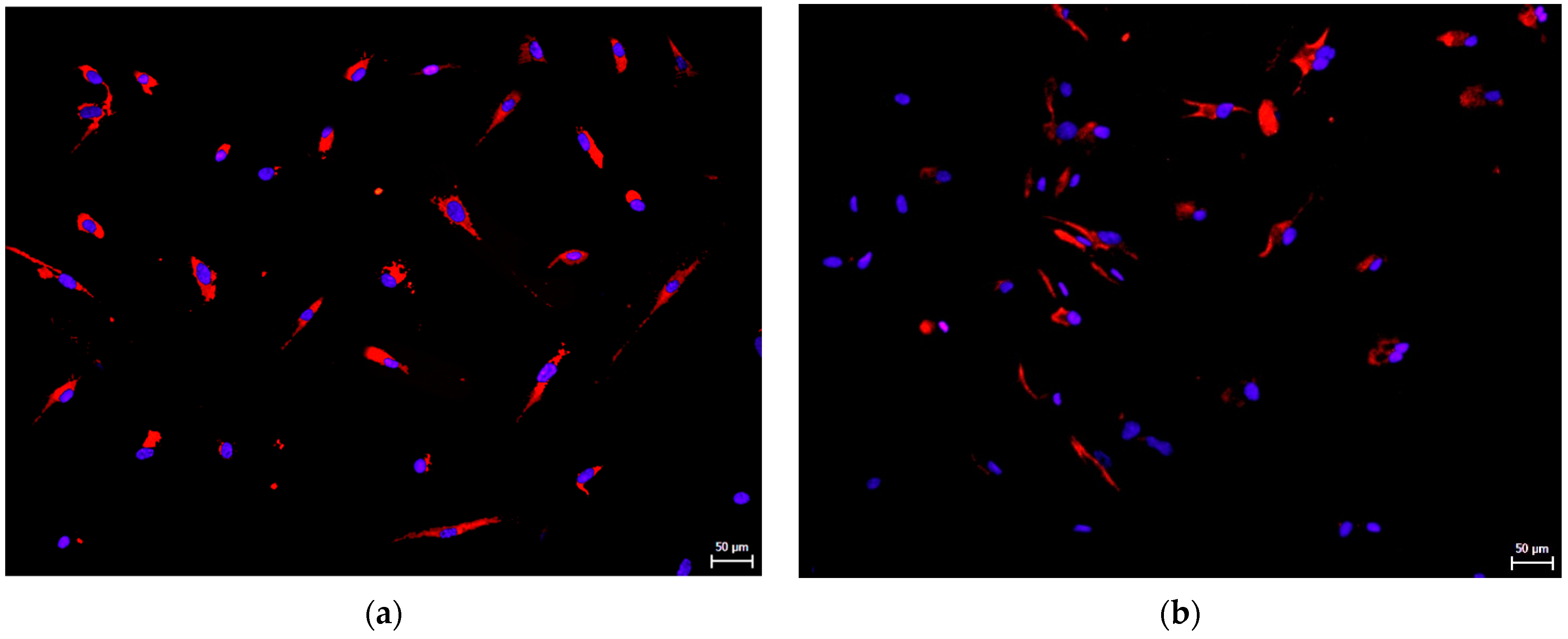 Biomolecules 12 01091 g007
