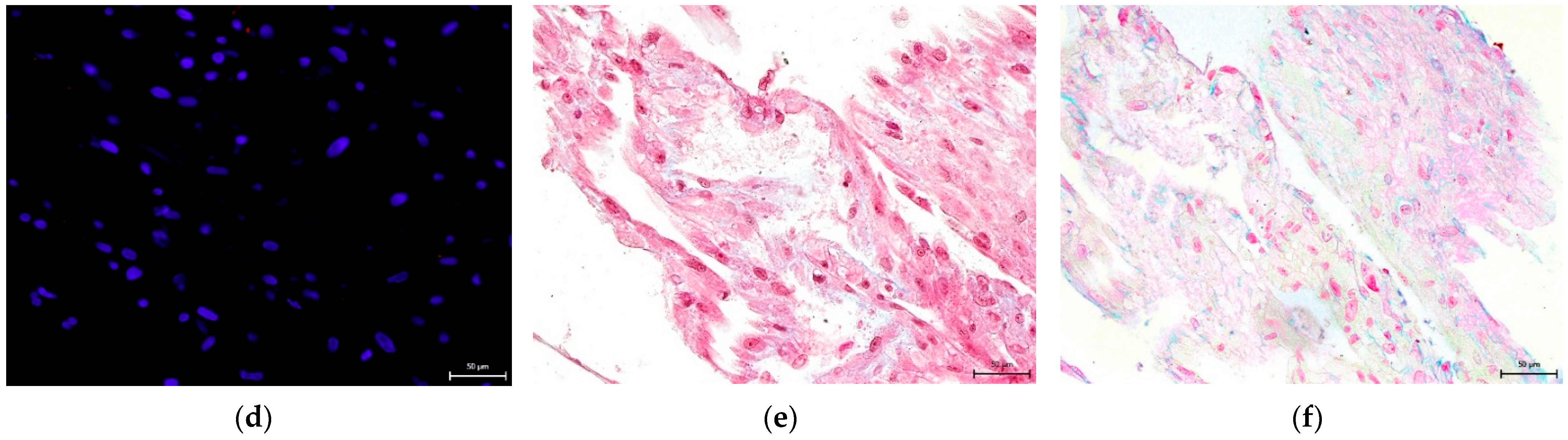 Biomolecules 12 01091 g010b