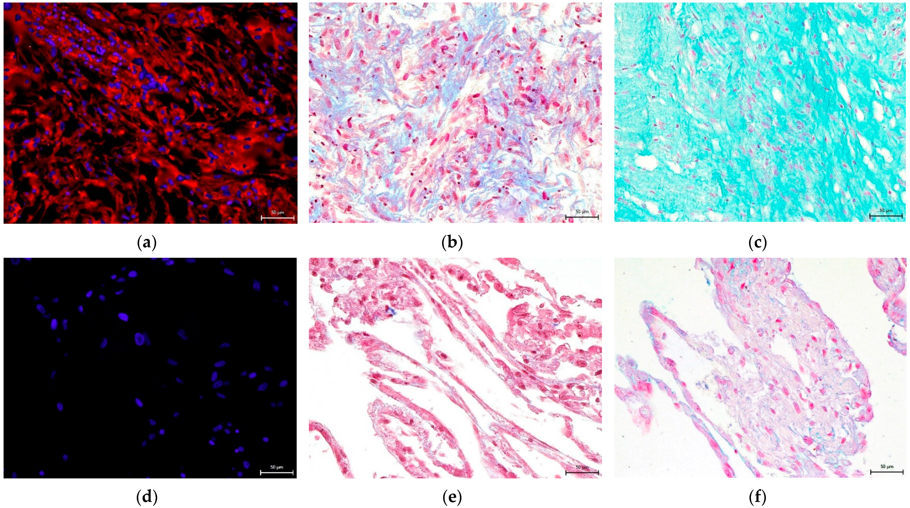 Biomolecules 12 01091 g011