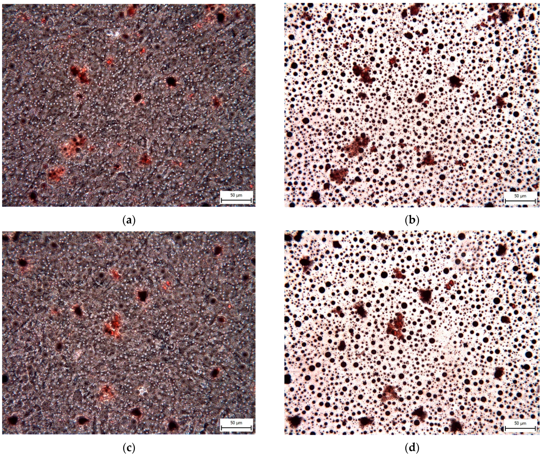 Biomolecules 12 01091 g014
