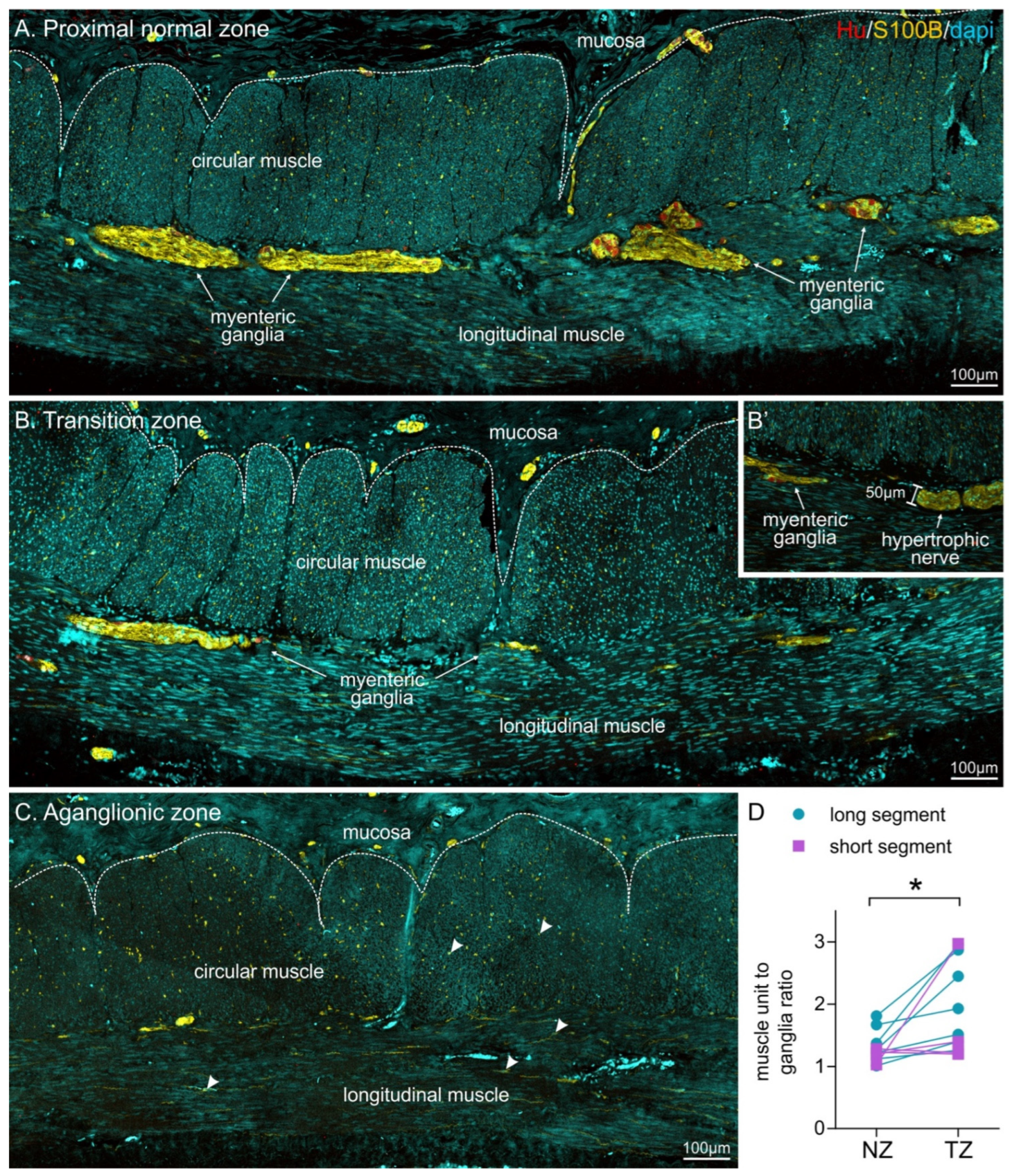 Biomolecules 12 01101 g002