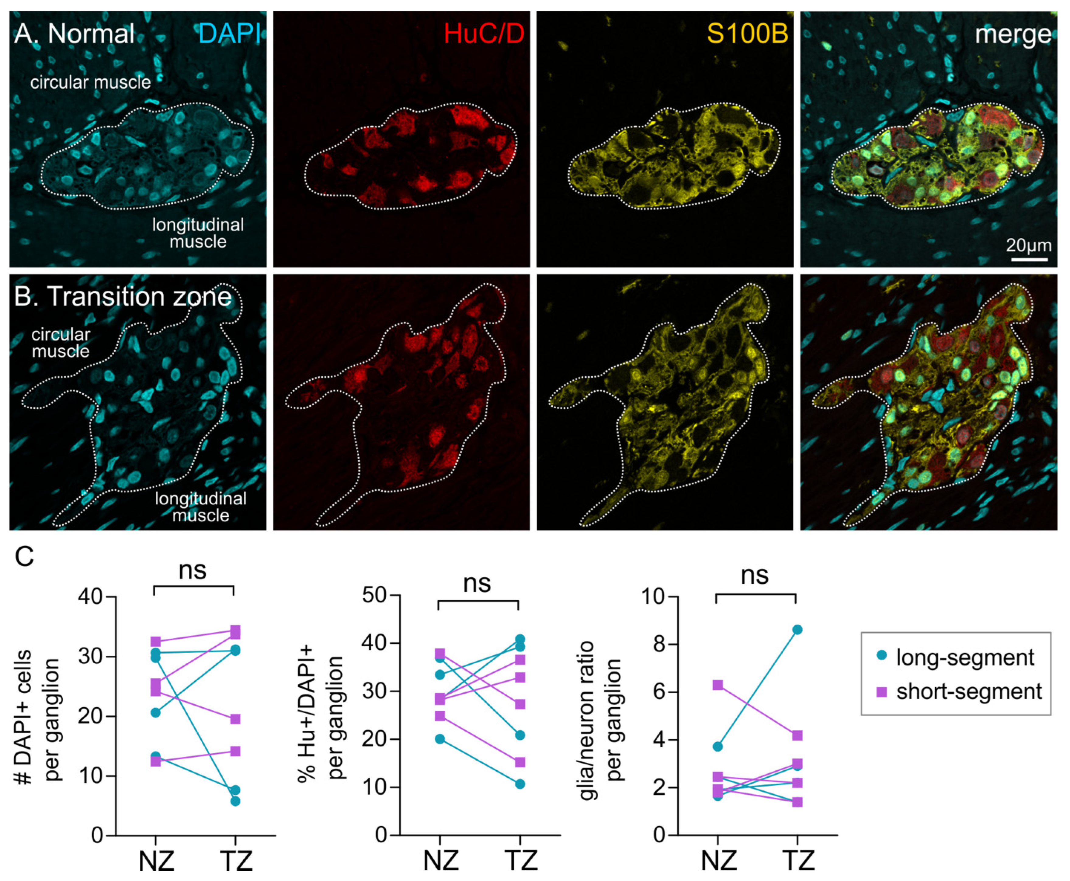 Biomolecules 12 01101 g003