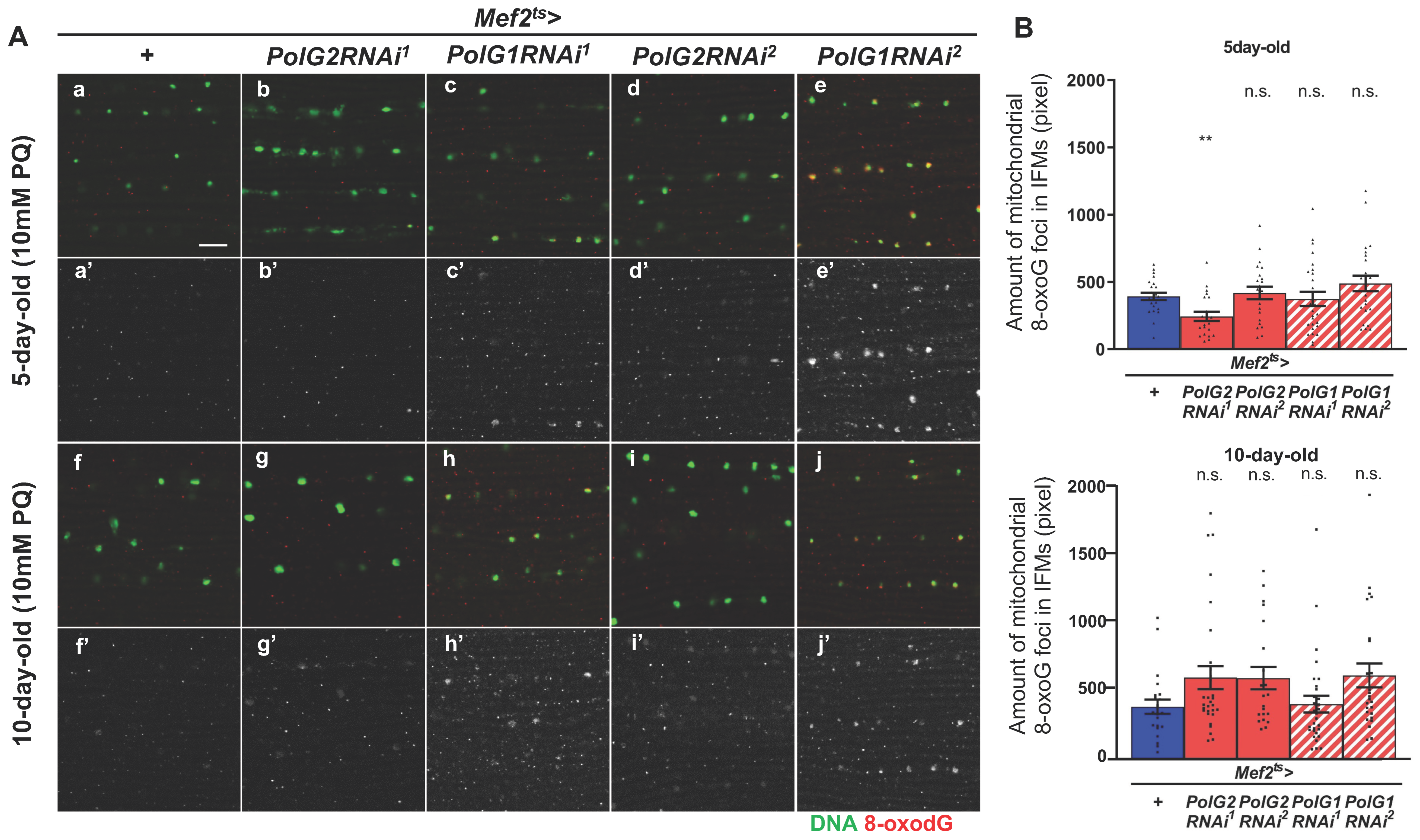 Biomolecules 12 01105 g002