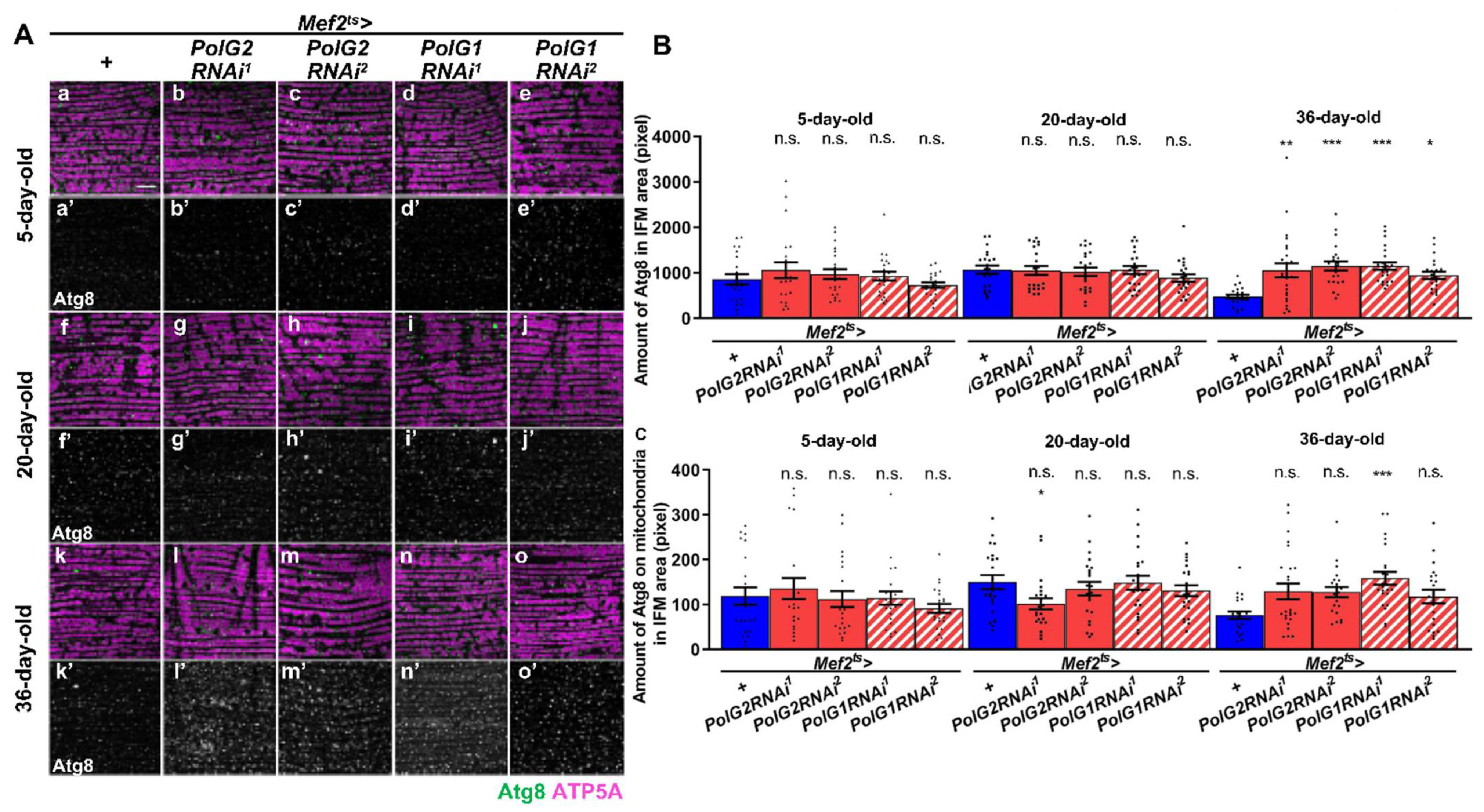 Biomolecules 12 01105 g005