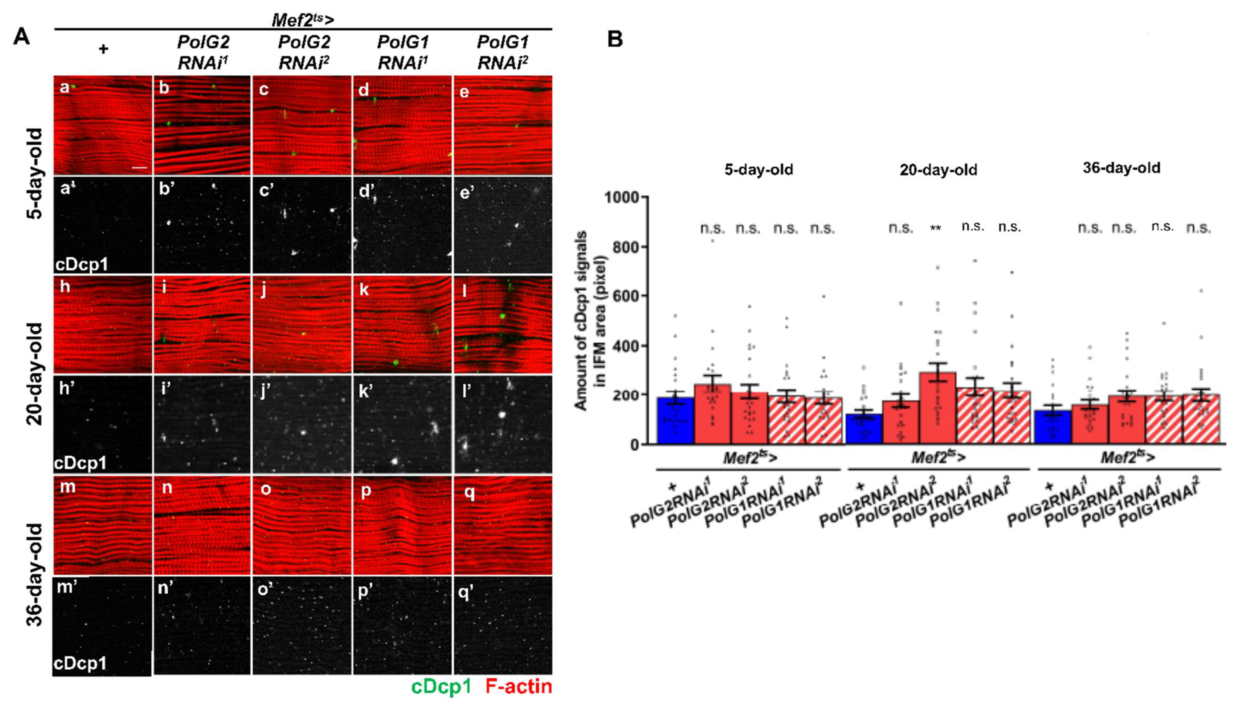 Biomolecules 12 01105 g006