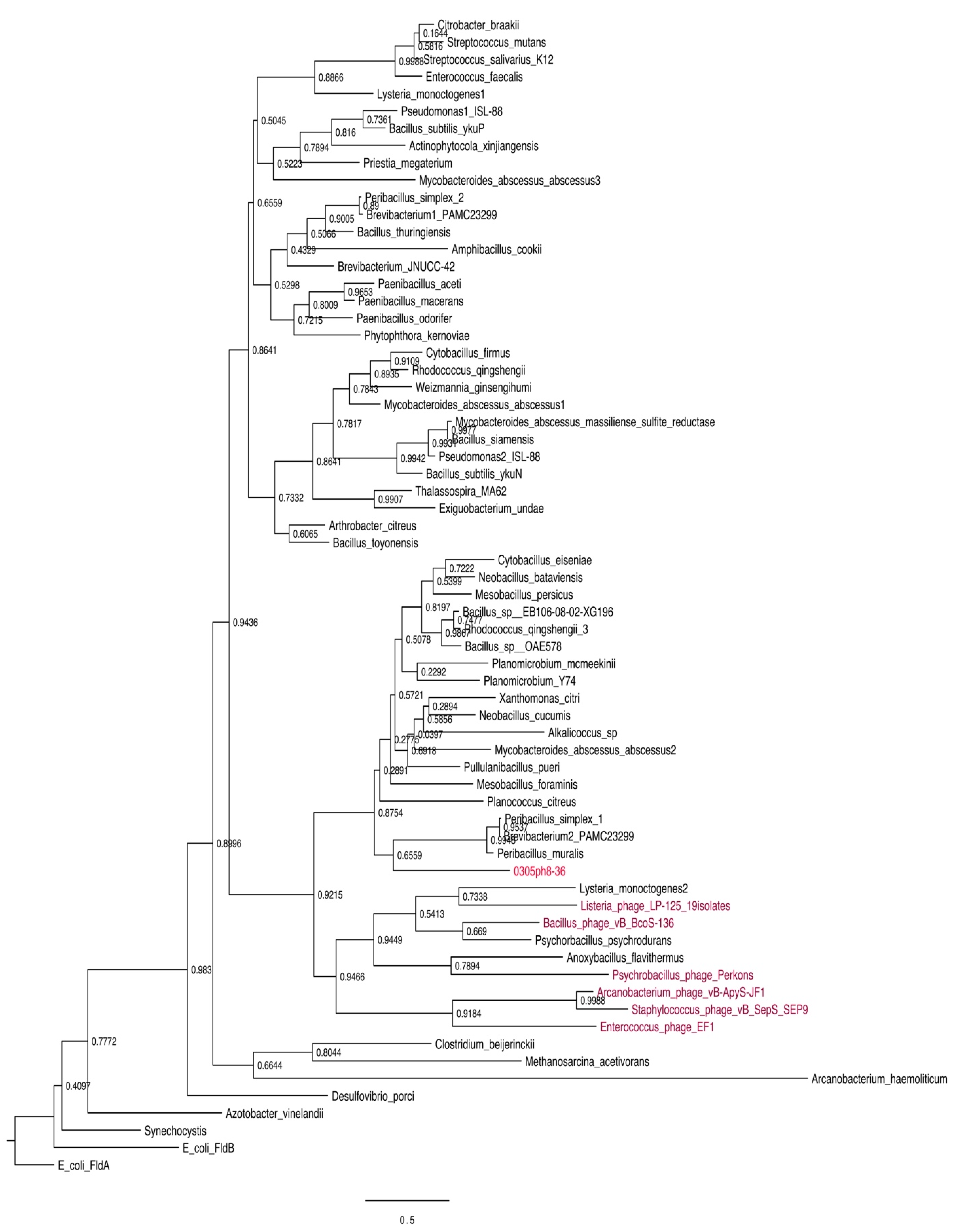 Biomolecules 12 01107 g003