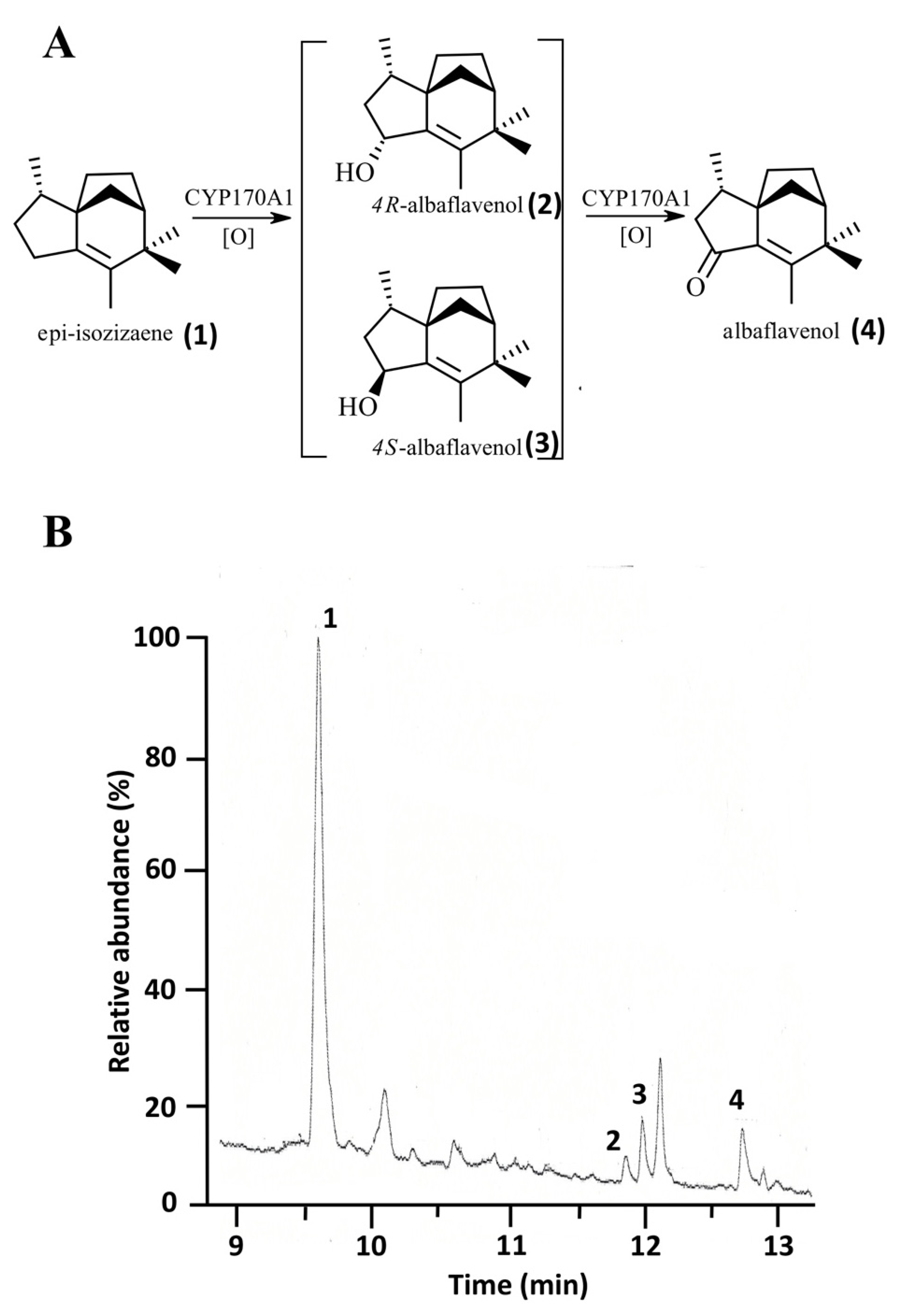 Biomolecules 12 01107 g005