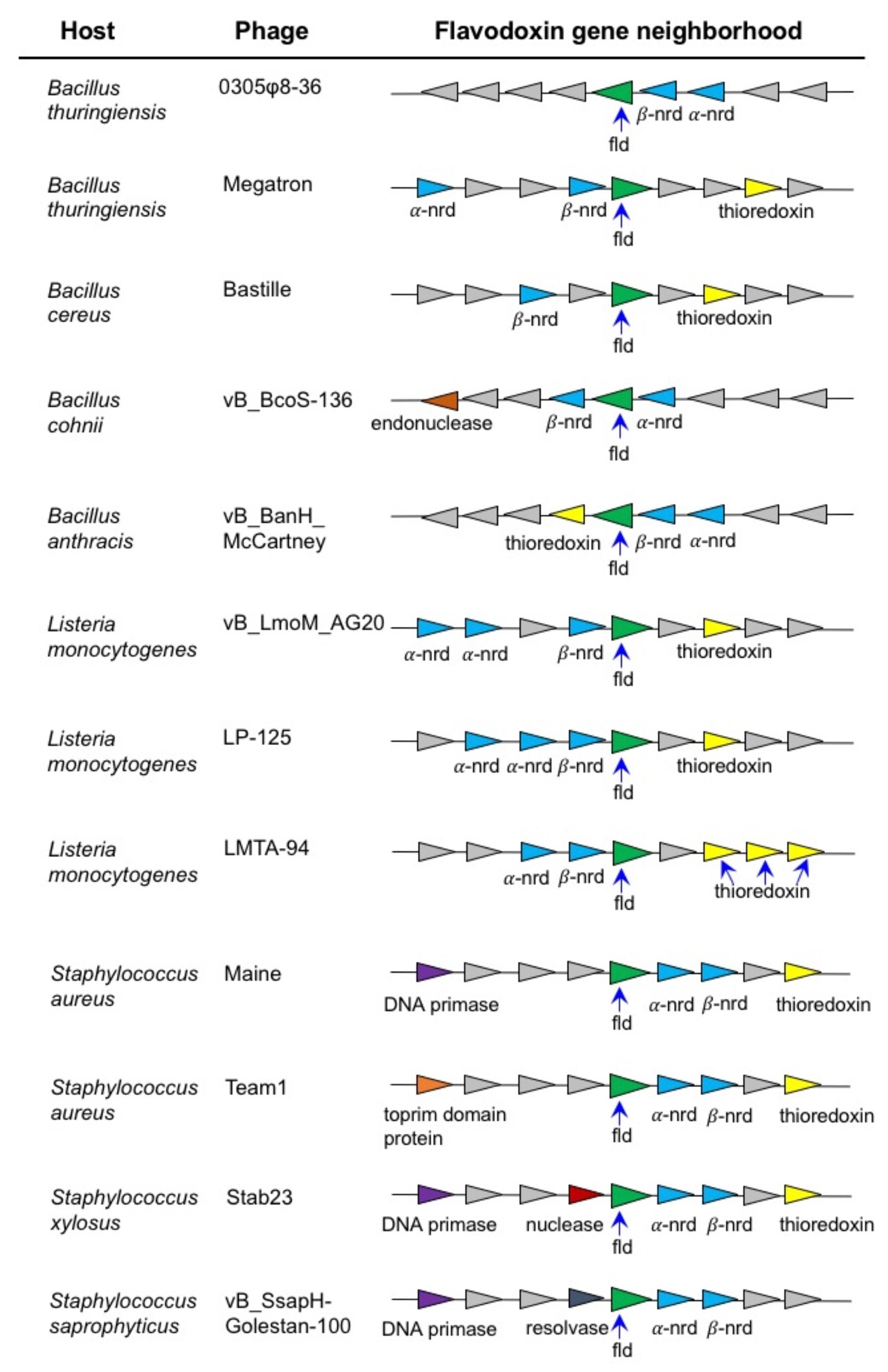 Biomolecules 12 01107 g006