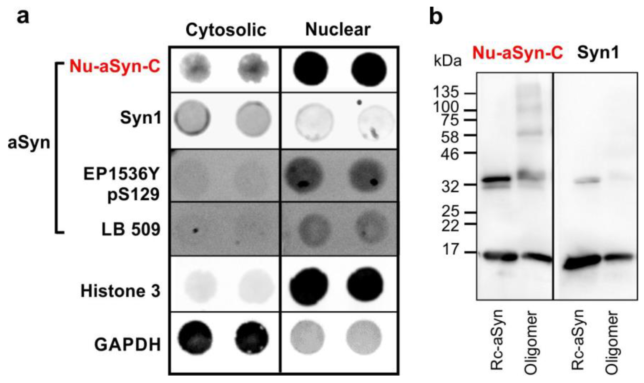 Biomolecules 12 01108 g003