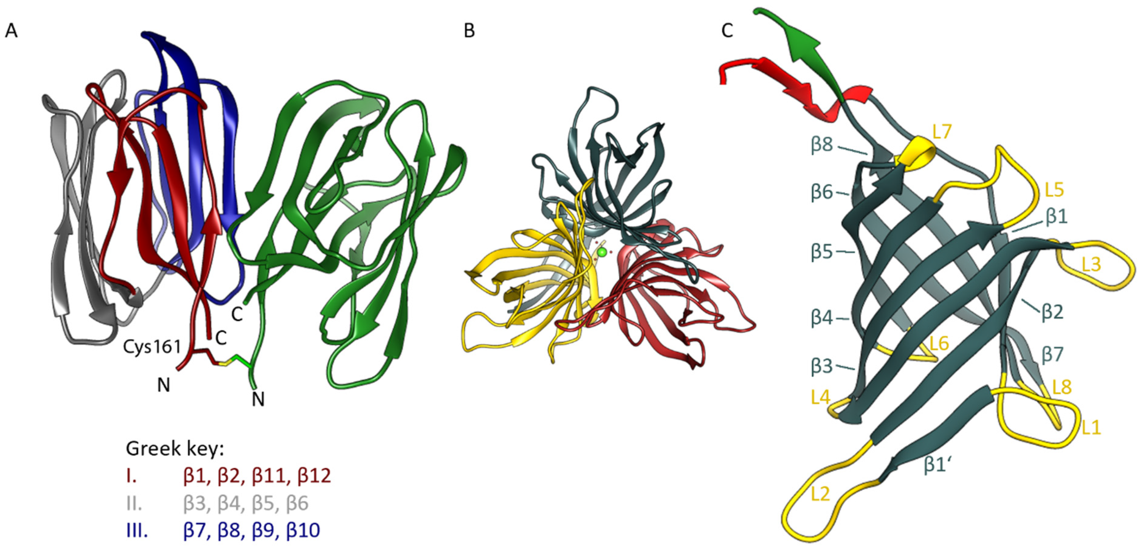 Biomolecules 12 01126 g001 Biomolecules 12 01126 g001