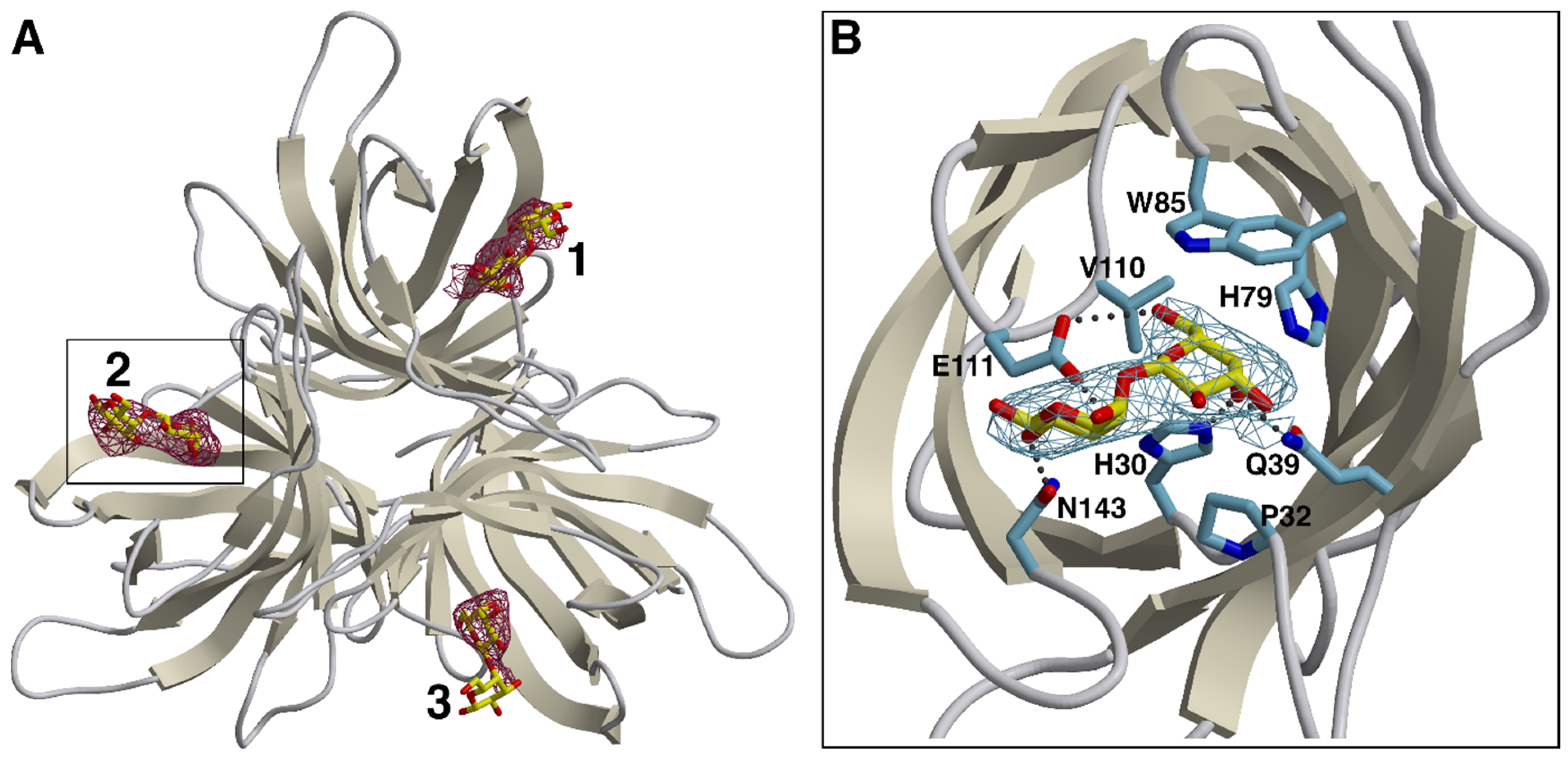Biomolecules 12 01126 g002 Biomolecules 12 01126 g002
