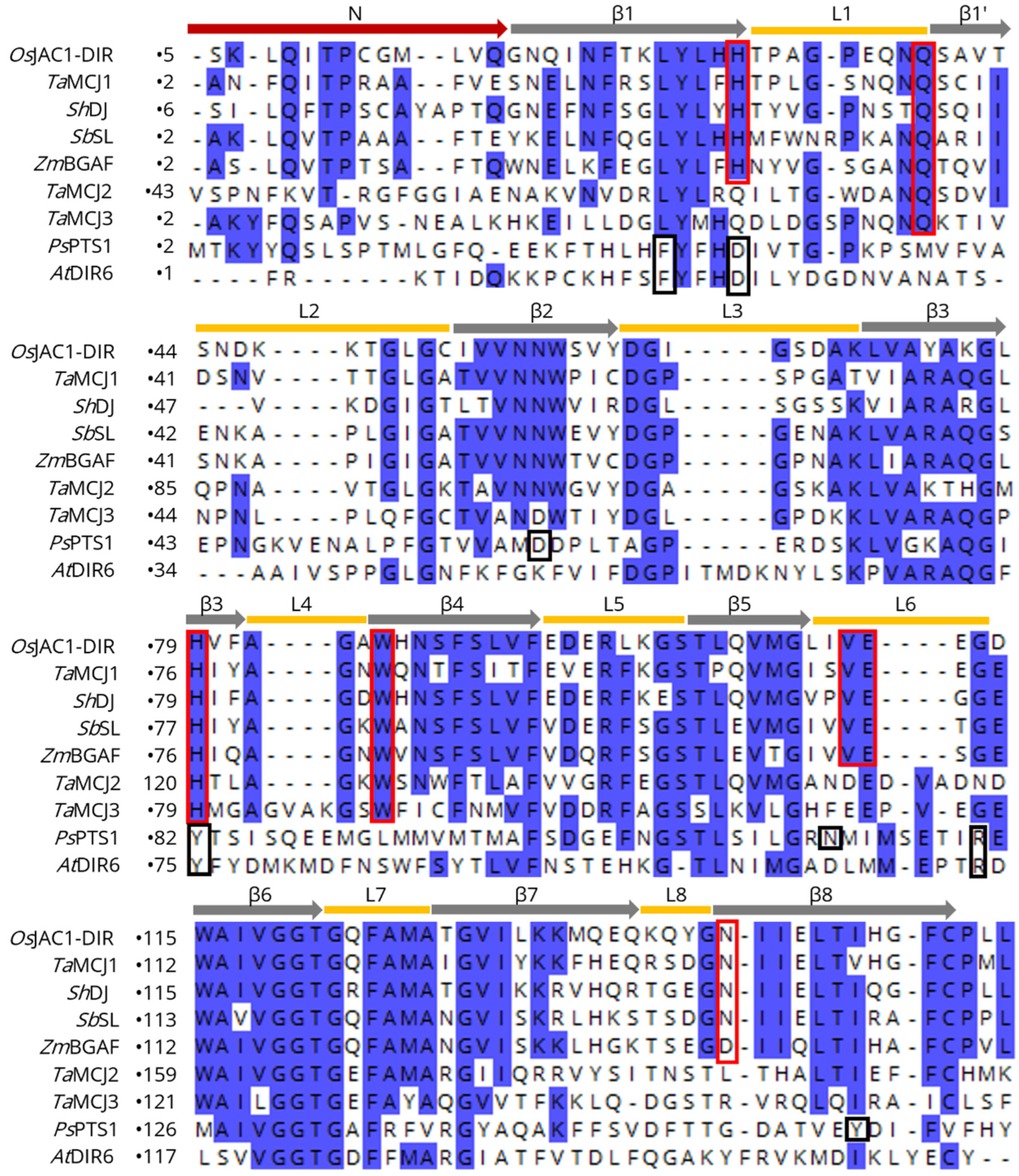 Biomolecules 12 01126 g003 Biomolecules 12 01126 g003