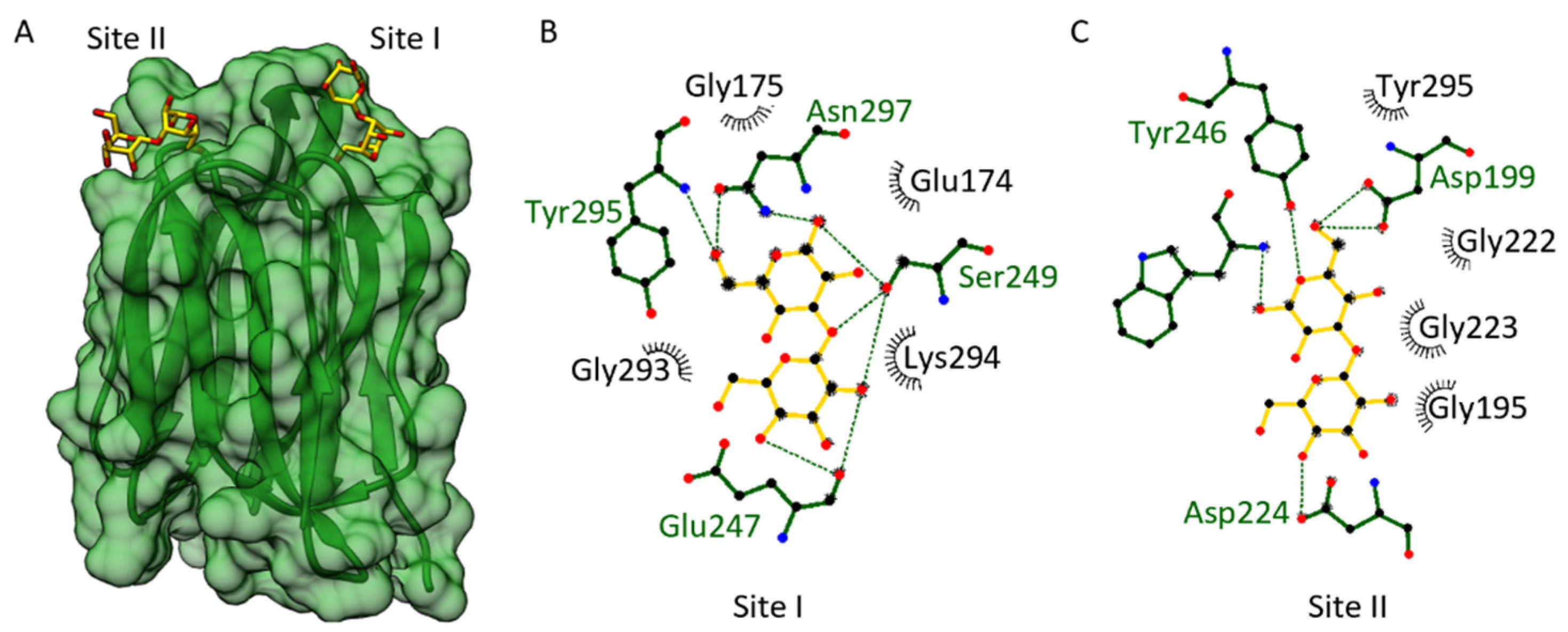 Biomolecules 12 01126 g004 Biomolecules 12 01126 g004