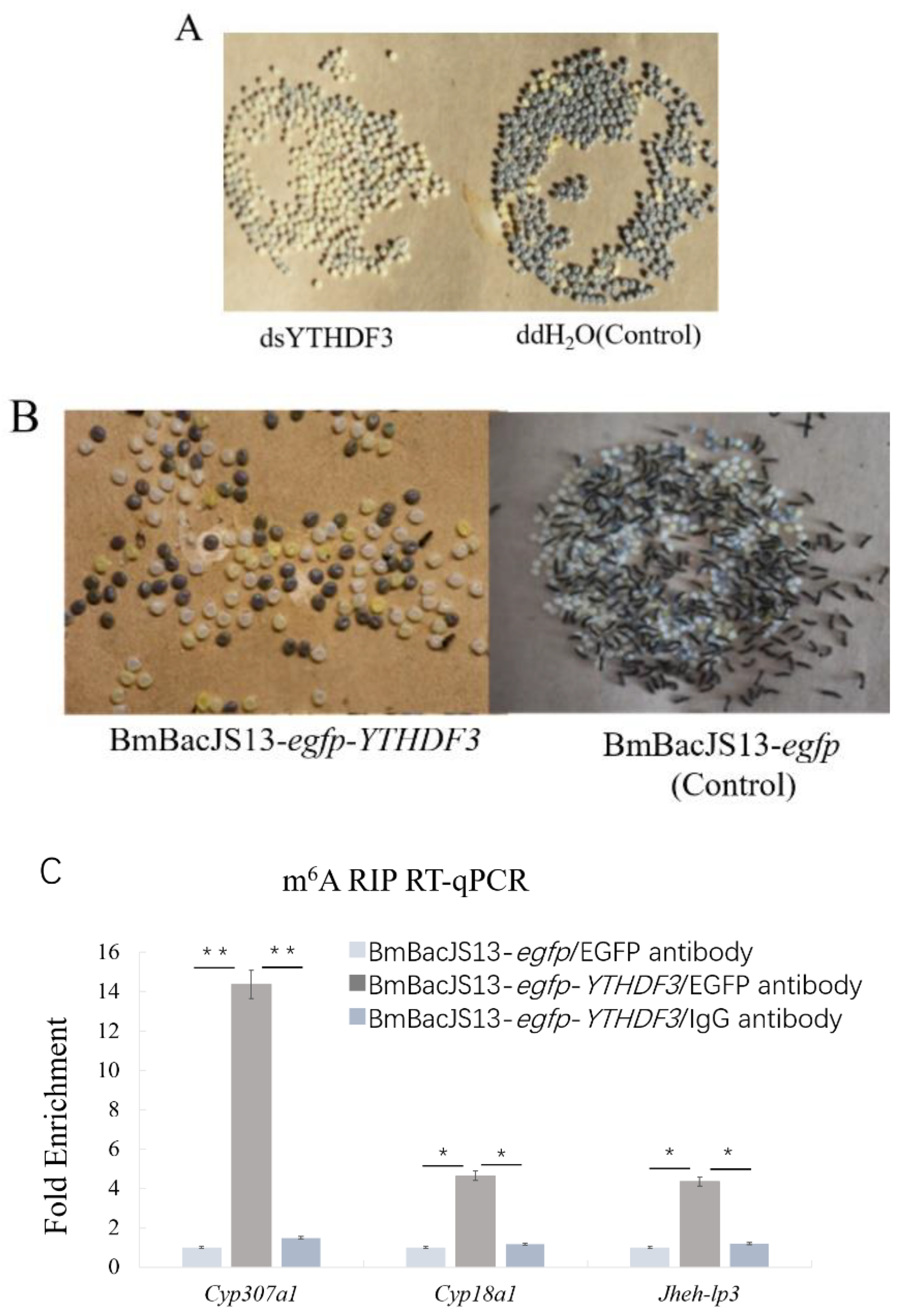 Biomolecules 12 01127 g002
