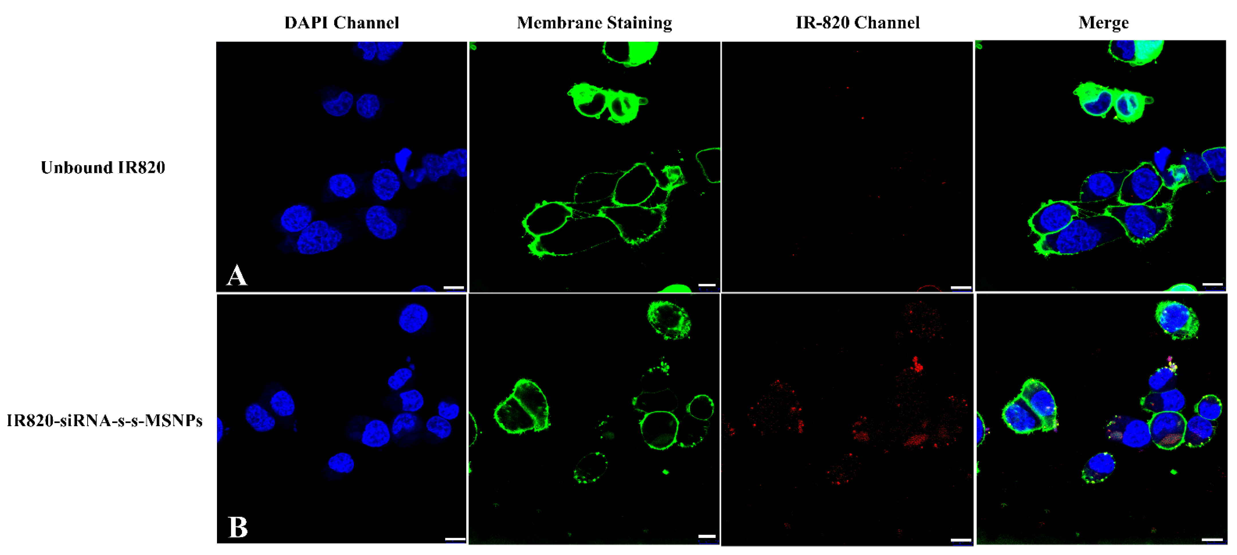 Biomolecules 12 01129 g006