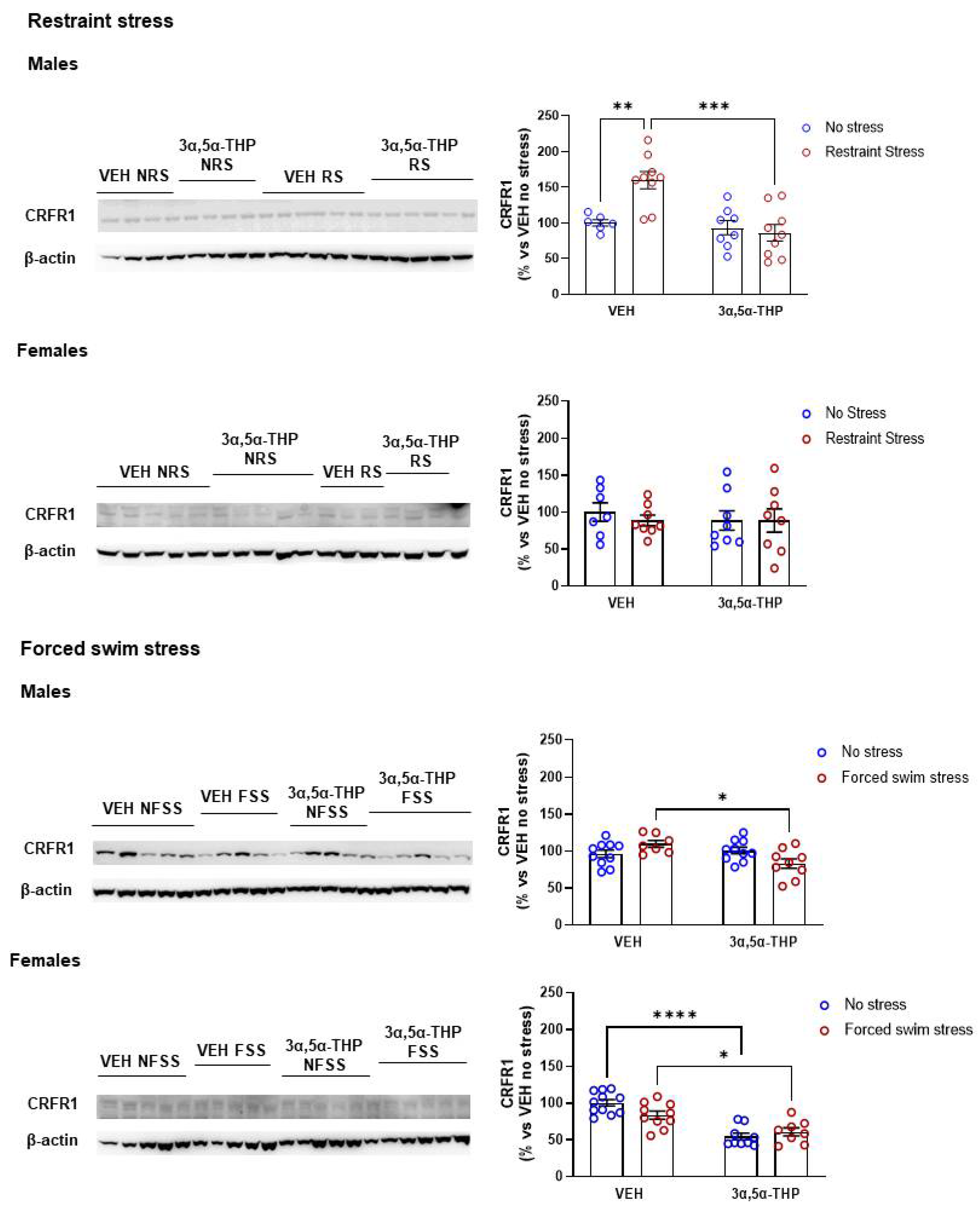 Biomolecules 12 01134 g004