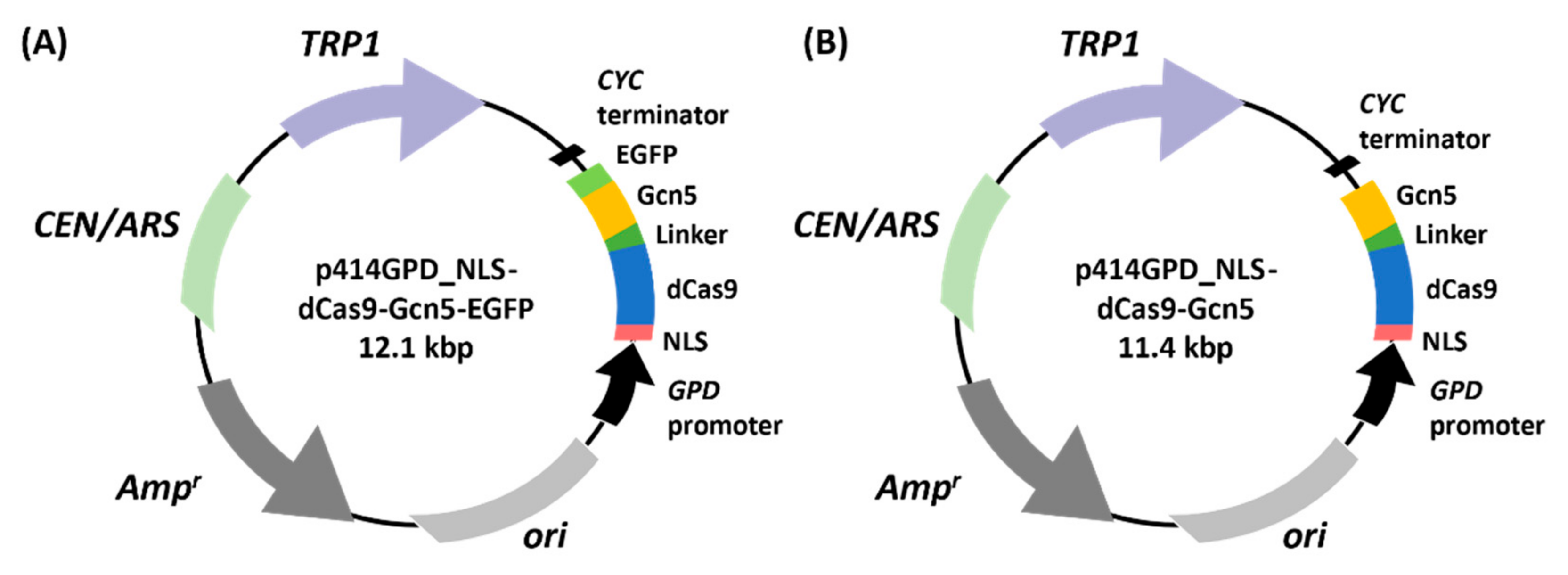 Biomolecules 12 01138 g001