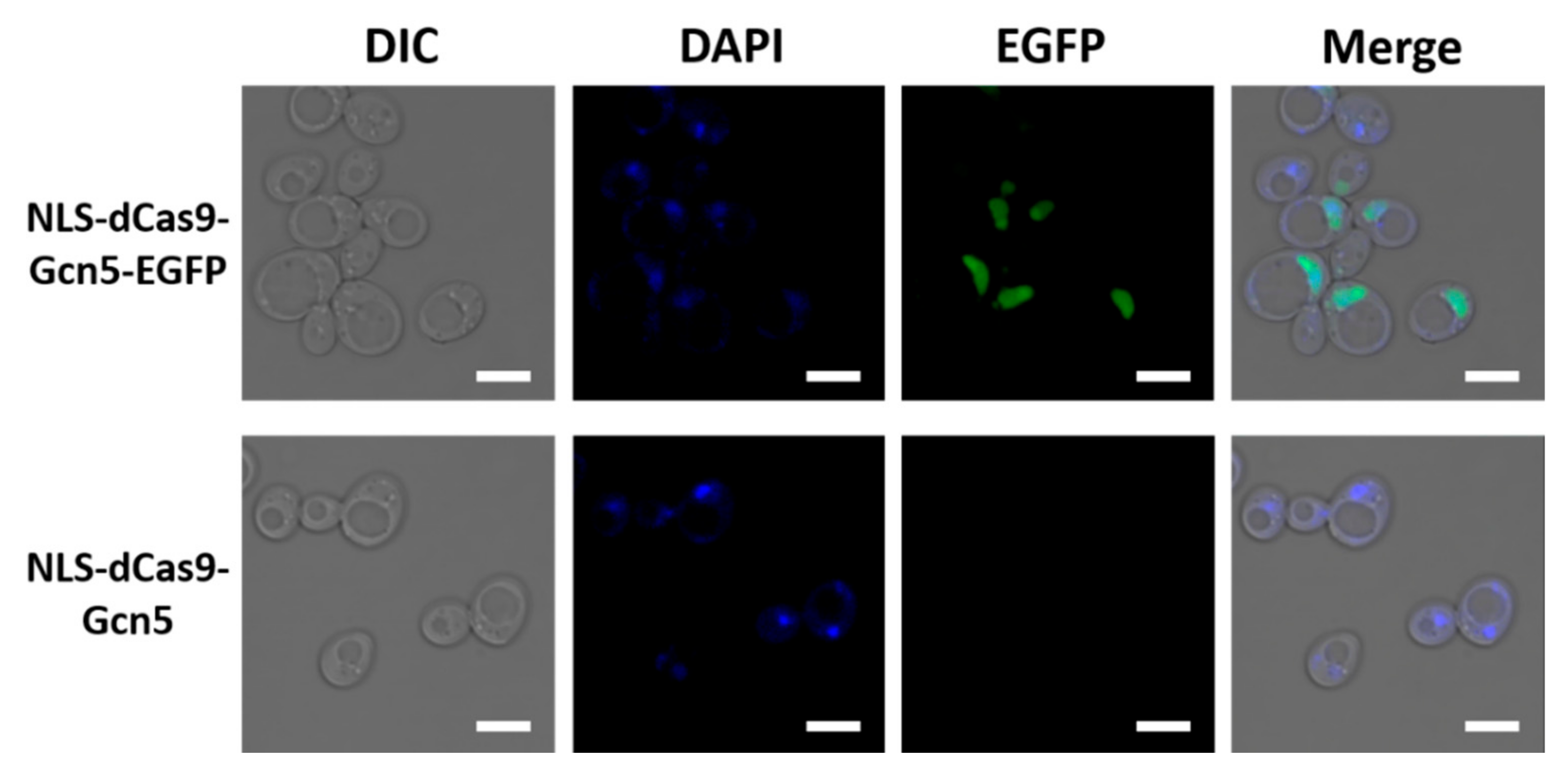 Biomolecules 12 01138 g002