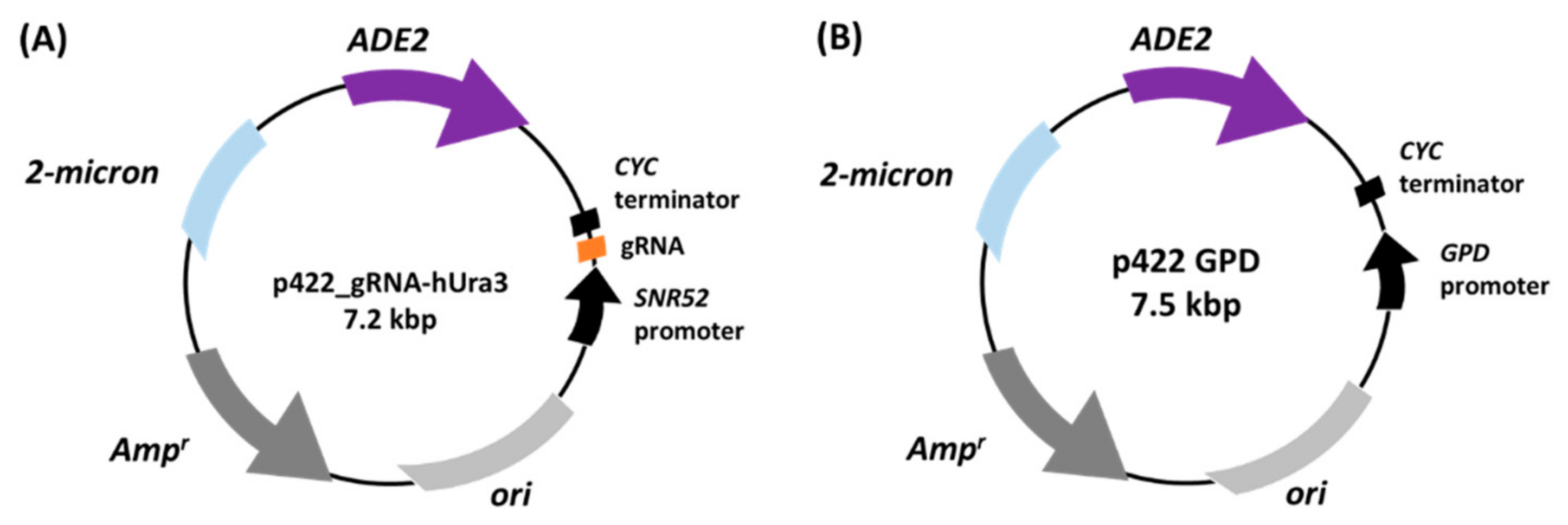 Biomolecules 12 01138 g003