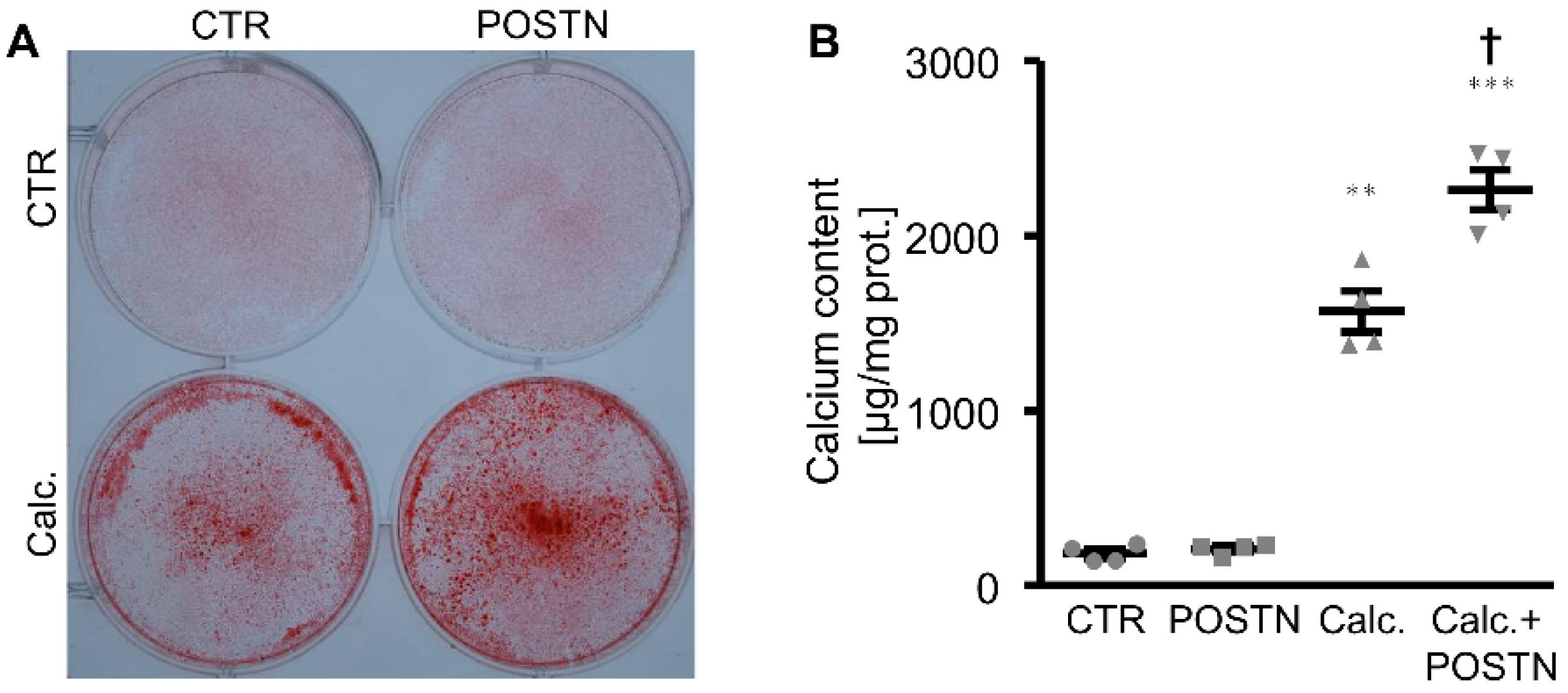 Biomolecules 12 01157 g001