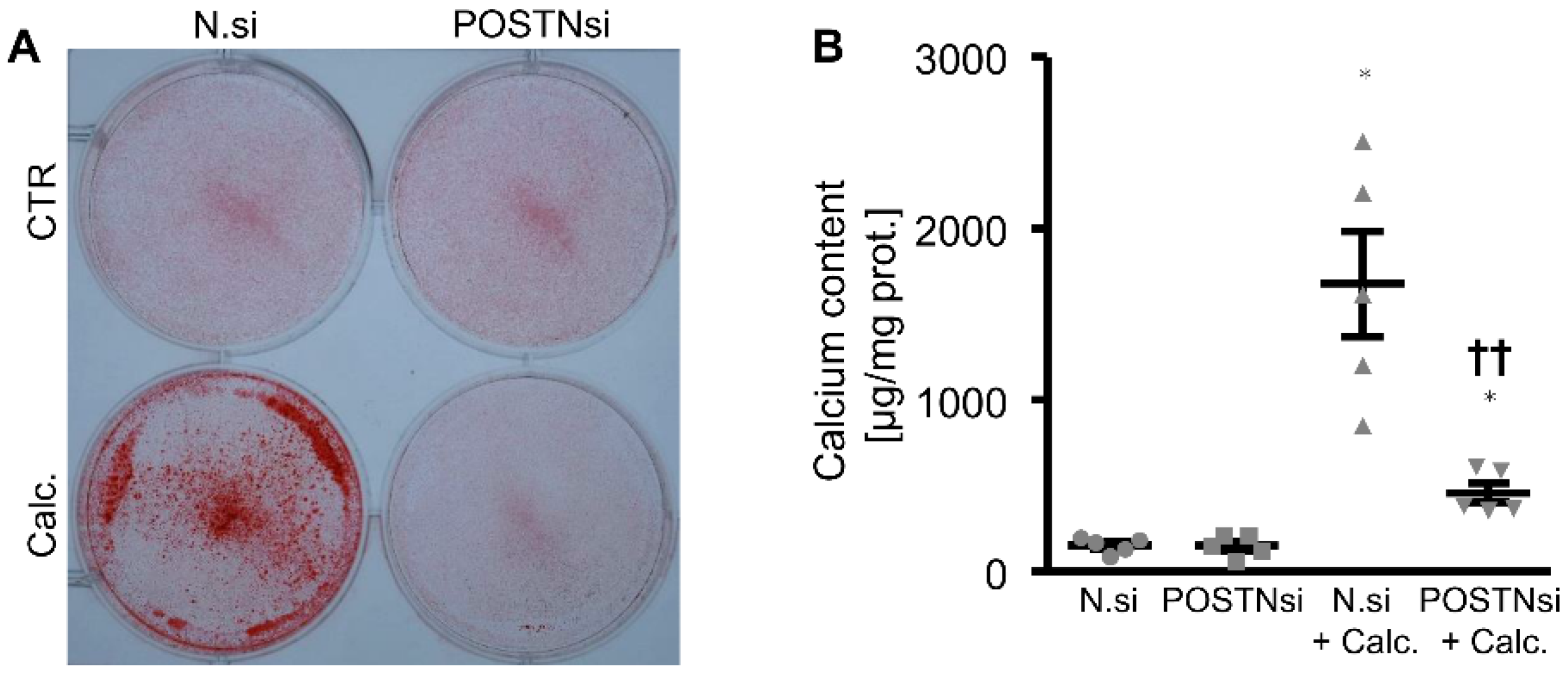 Biomolecules 12 01157 g007