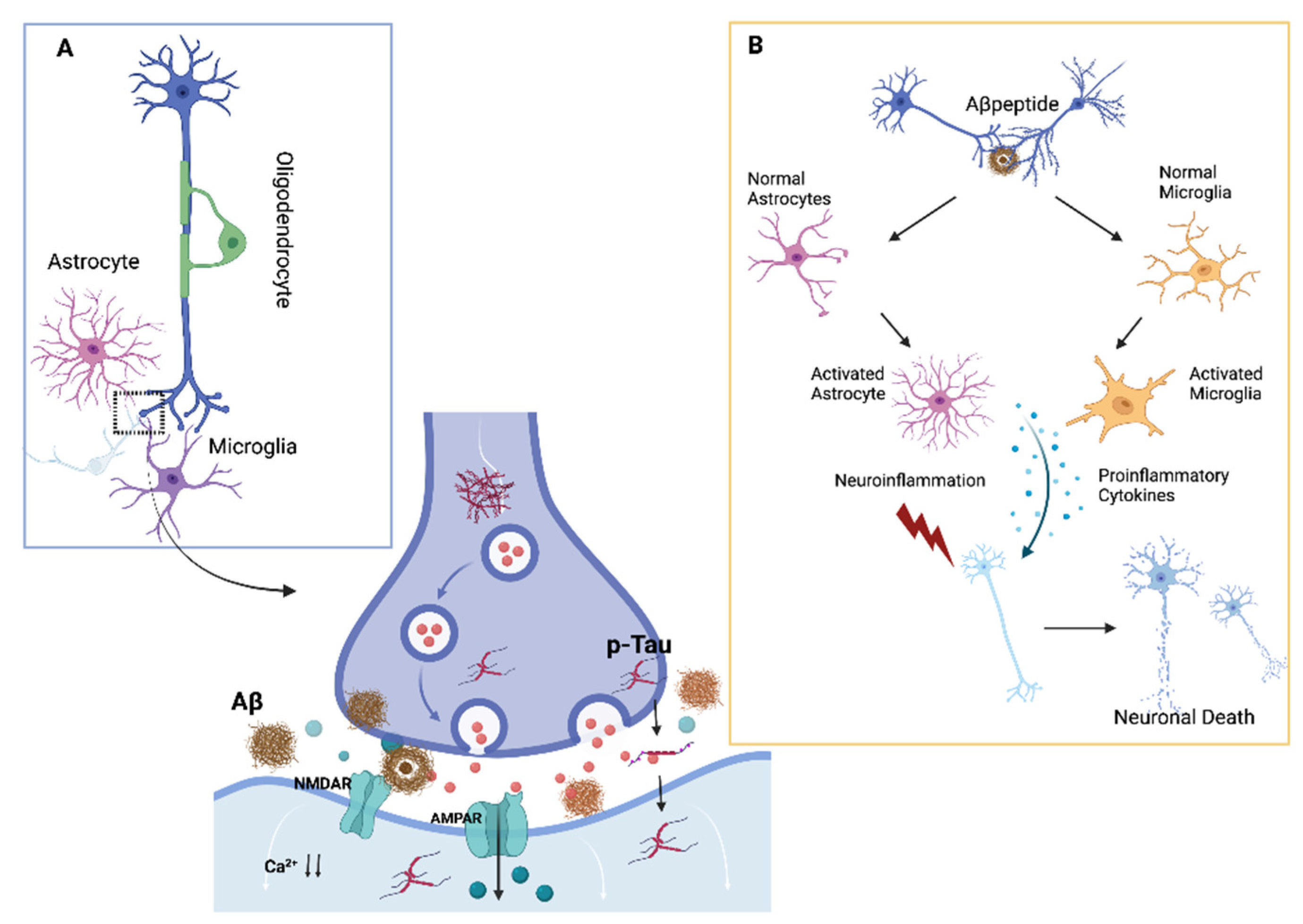 Biomolecules 12 01161 g001