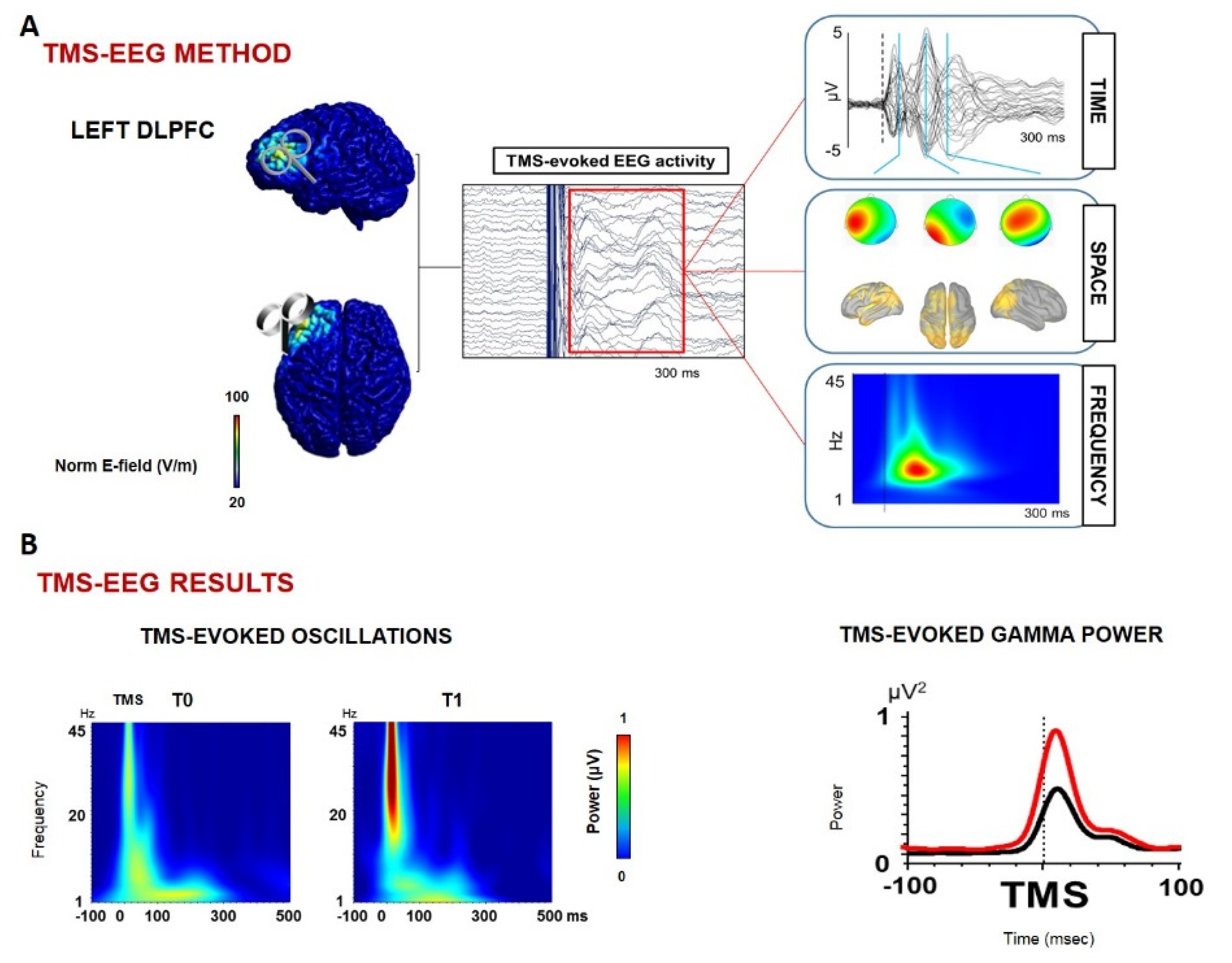 Biomolecules 12 01161 g003