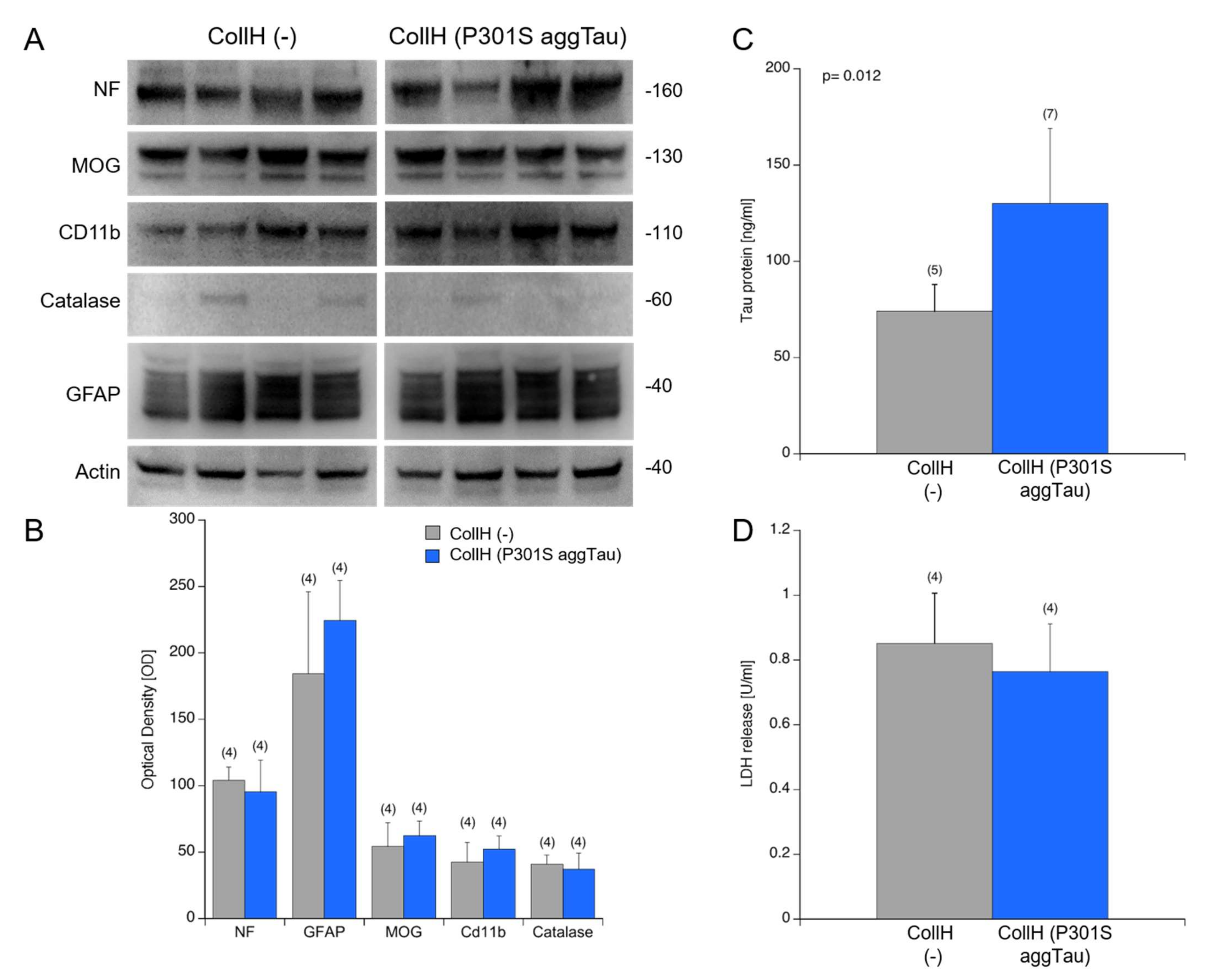 Biomolecules 12 01164 g004 Biomolecules 12 01164 g004