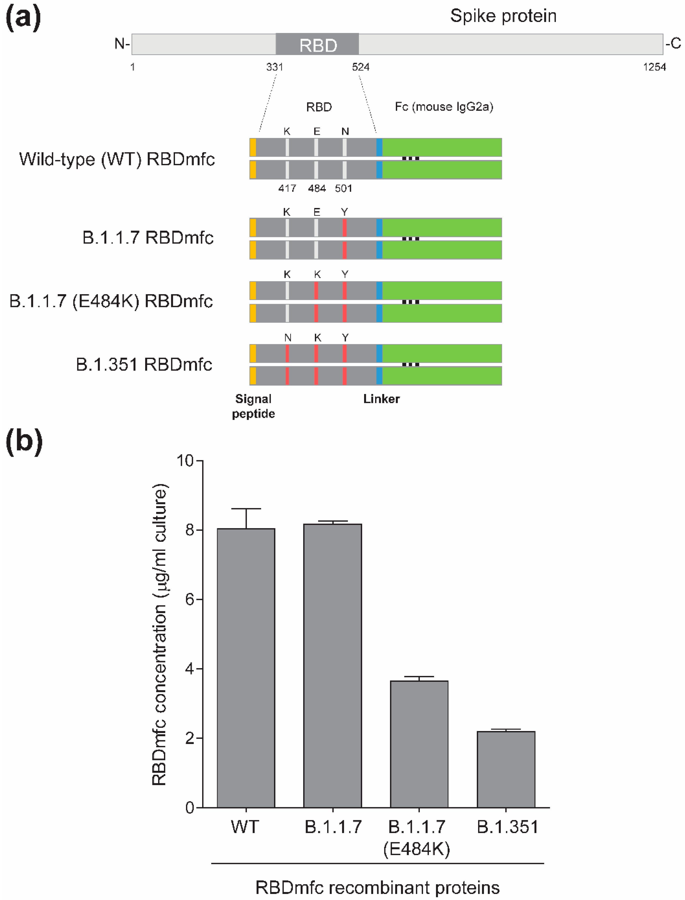 Biomolecules 12 01170 g001