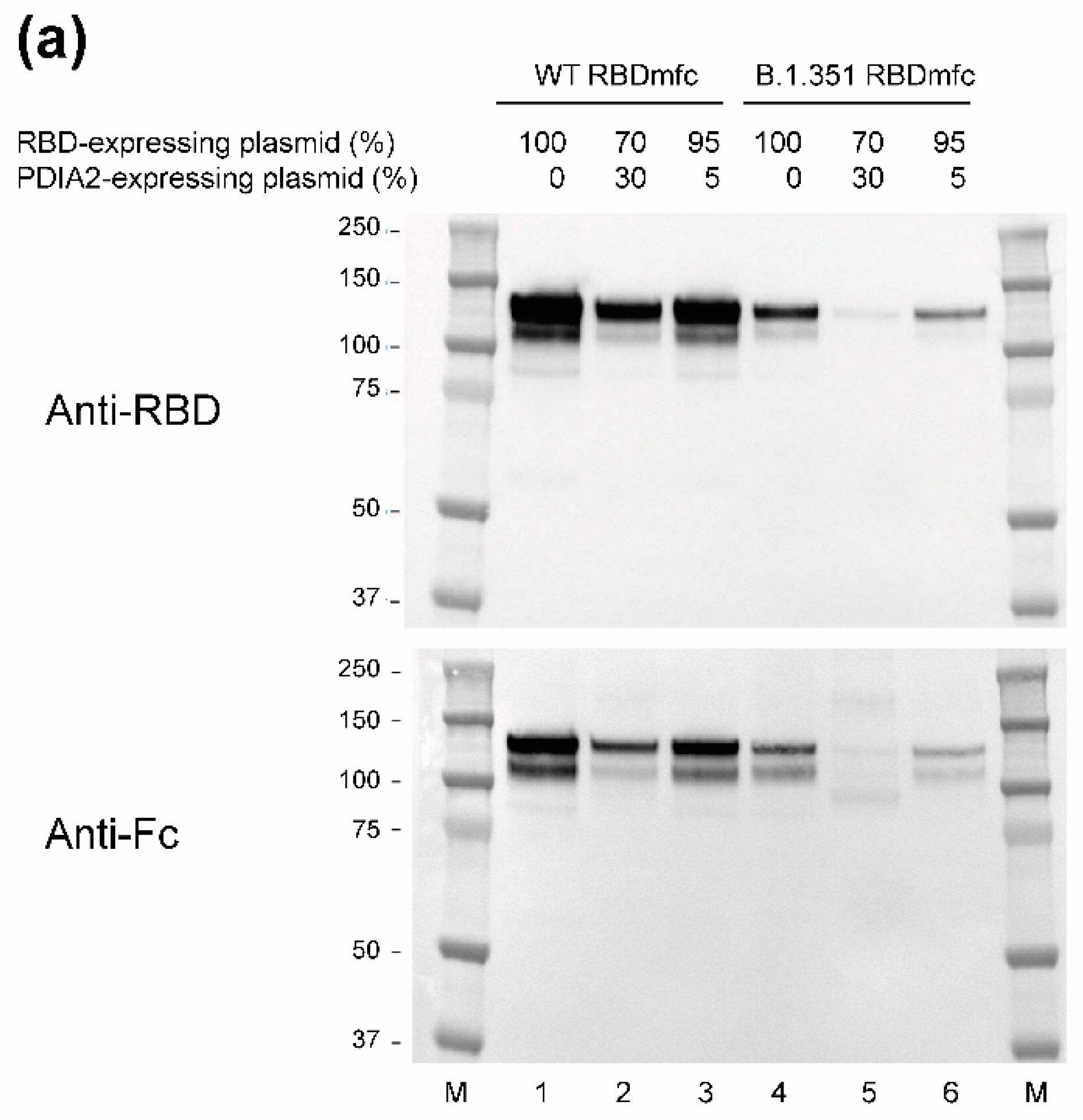 Biomolecules 12 01170 g004a
