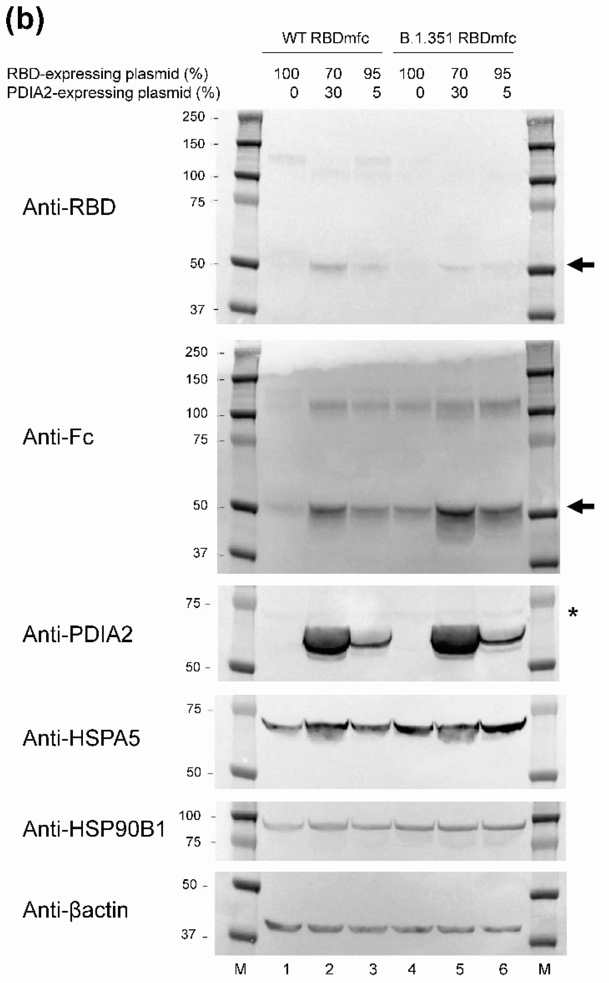 Biomolecules 12 01170 g004b