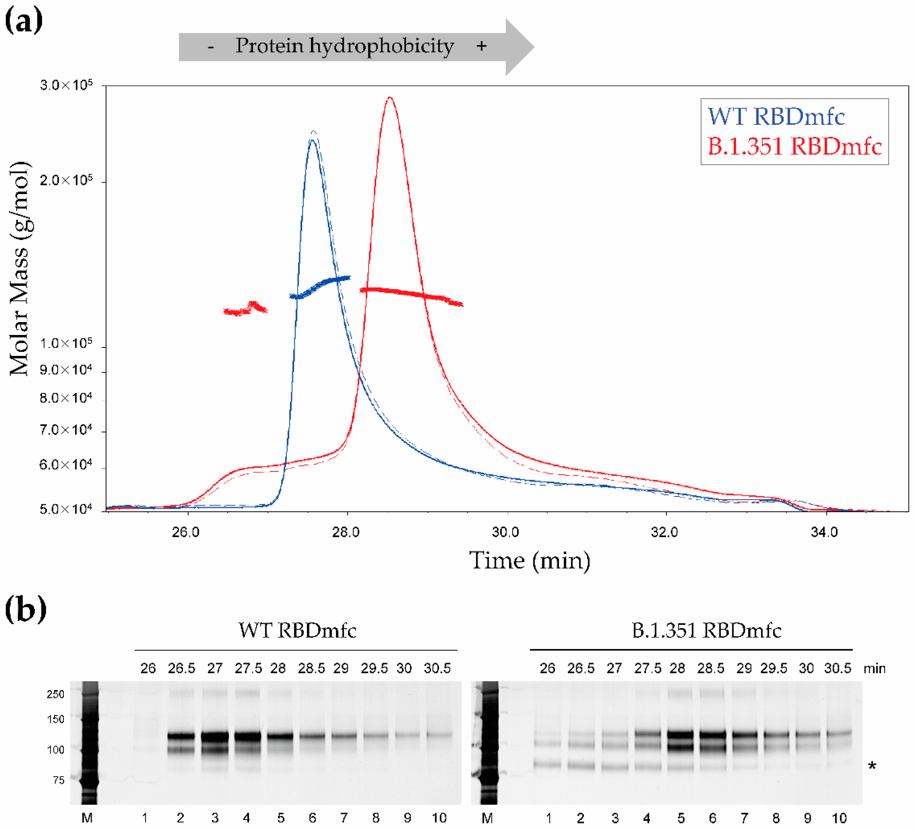 Biomolecules 12 01170 g006