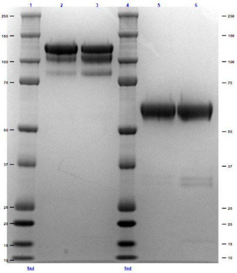 Biomolecules 12 01170 g0a1