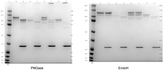 Biomolecules 12 01170 g0a2
