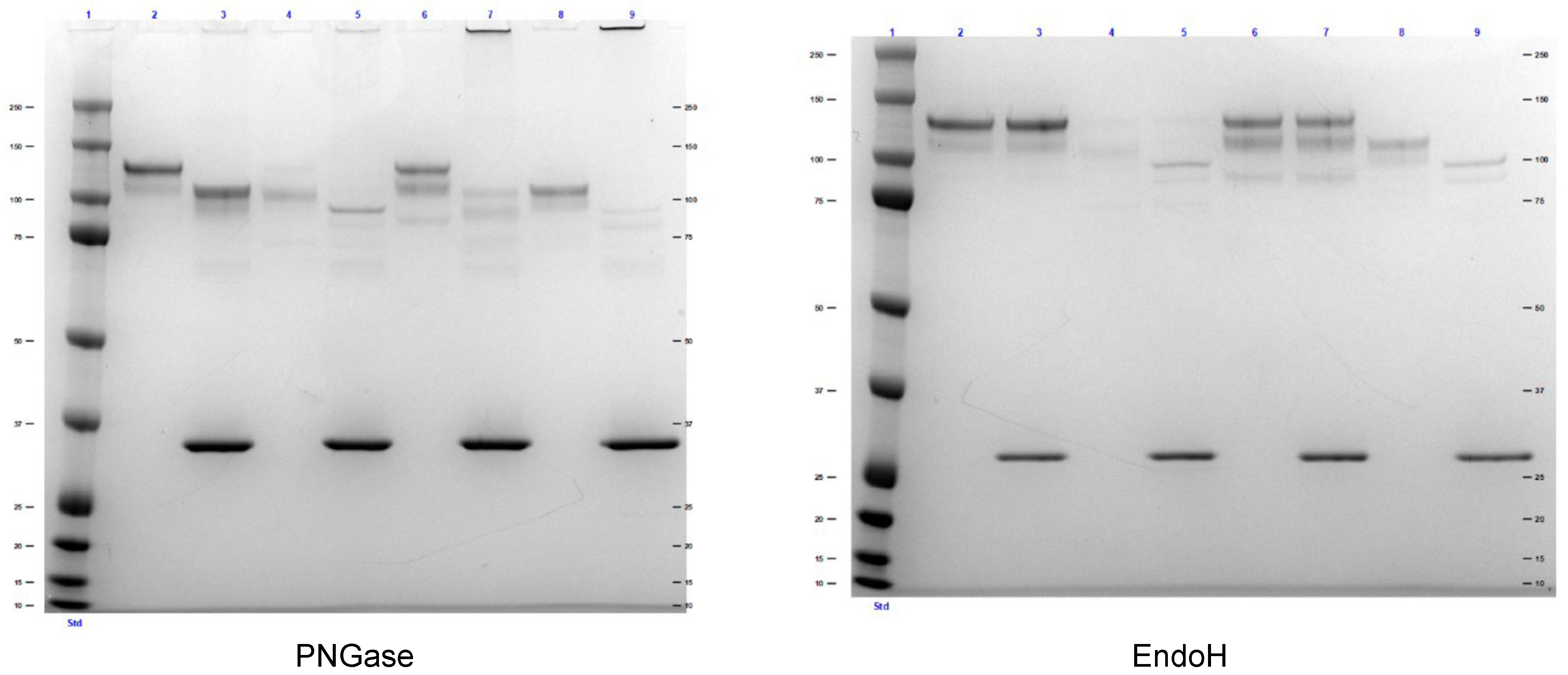 Biomolecules 12 01170 g0a2