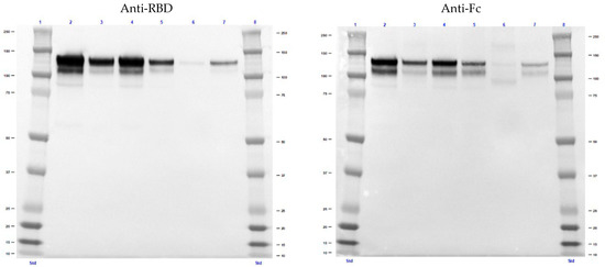 Biomolecules 12 01170 g0a3