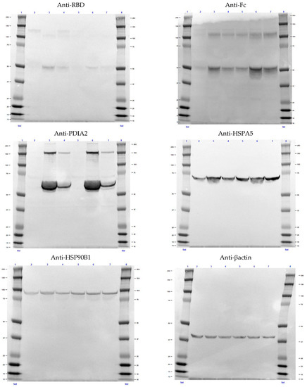 Biomolecules 12 01170 g0a4