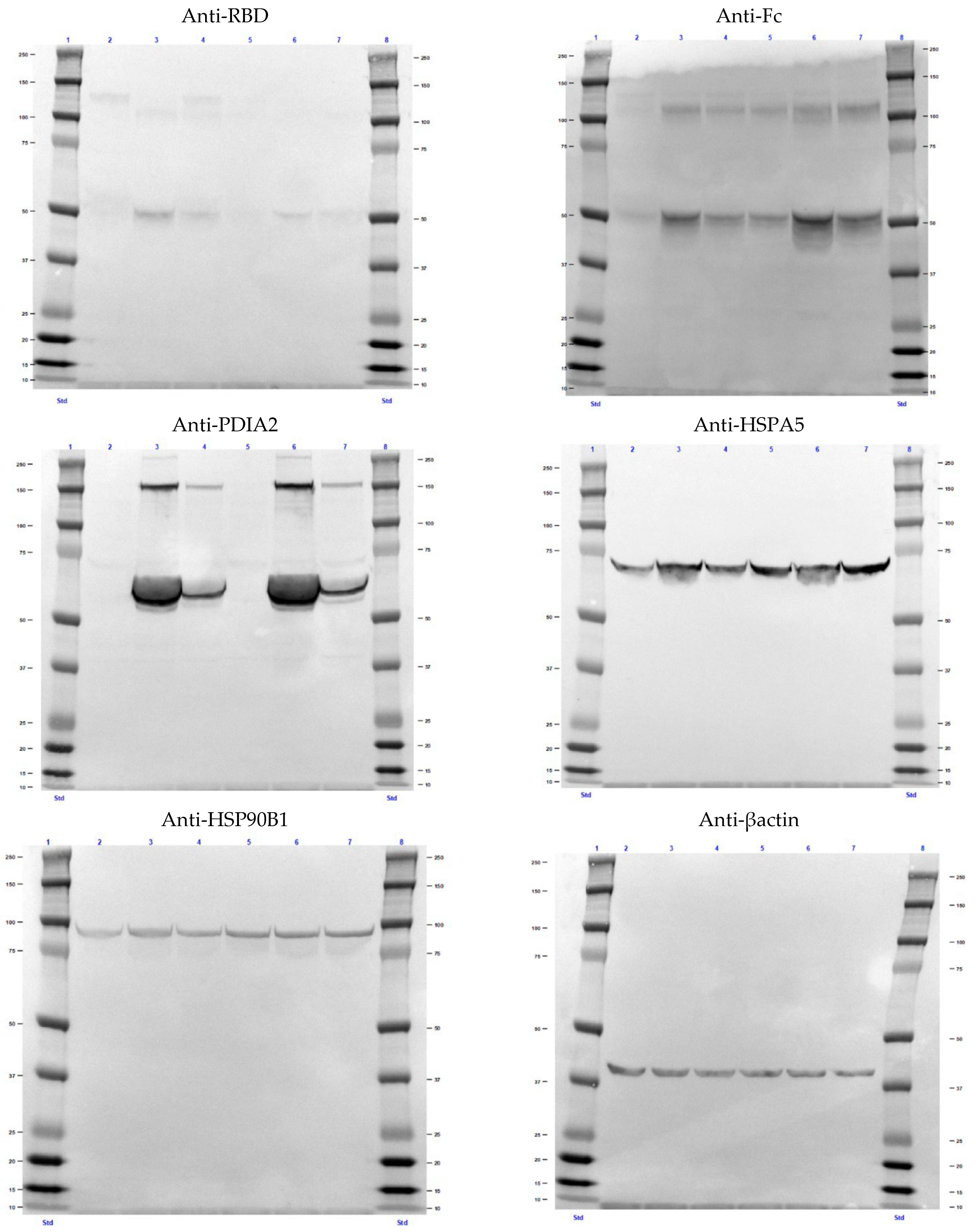 Biomolecules 12 01170 g0a4