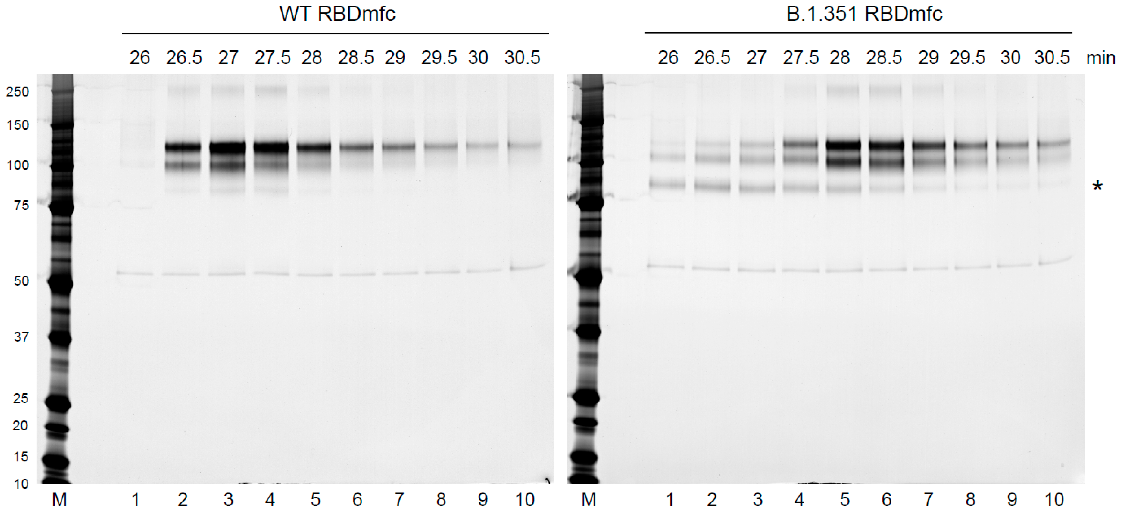 Biomolecules 12 01170 g0a5