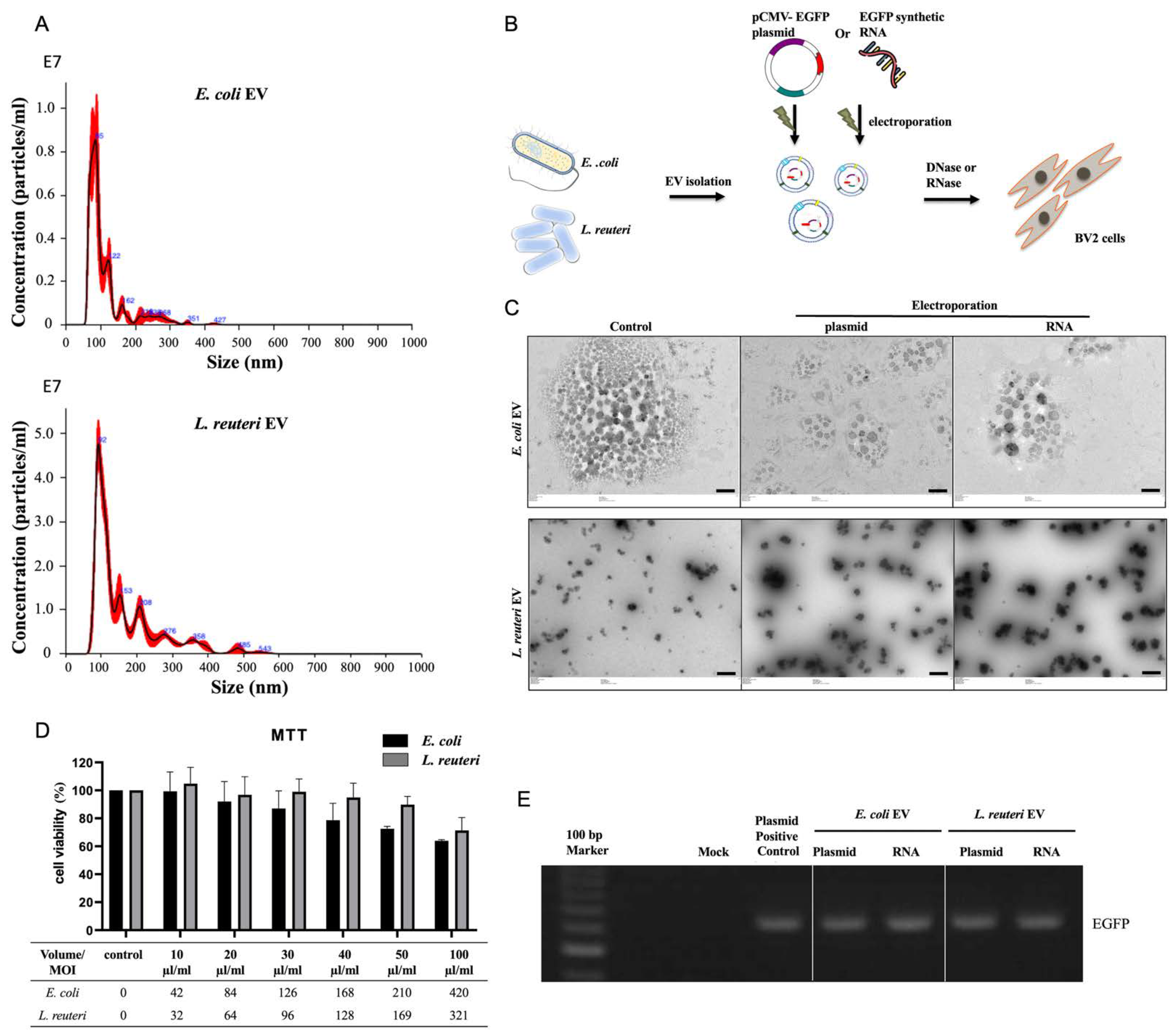 Biomolecules 12 01171 g001a
