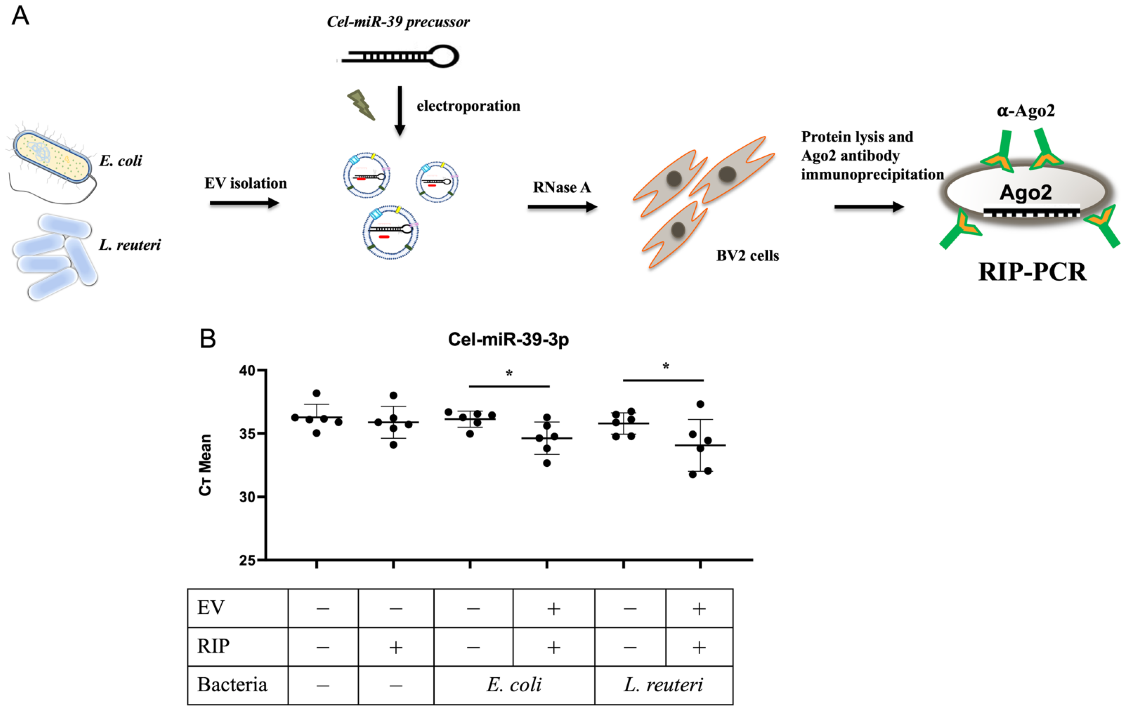 Biomolecules 12 01171 g002