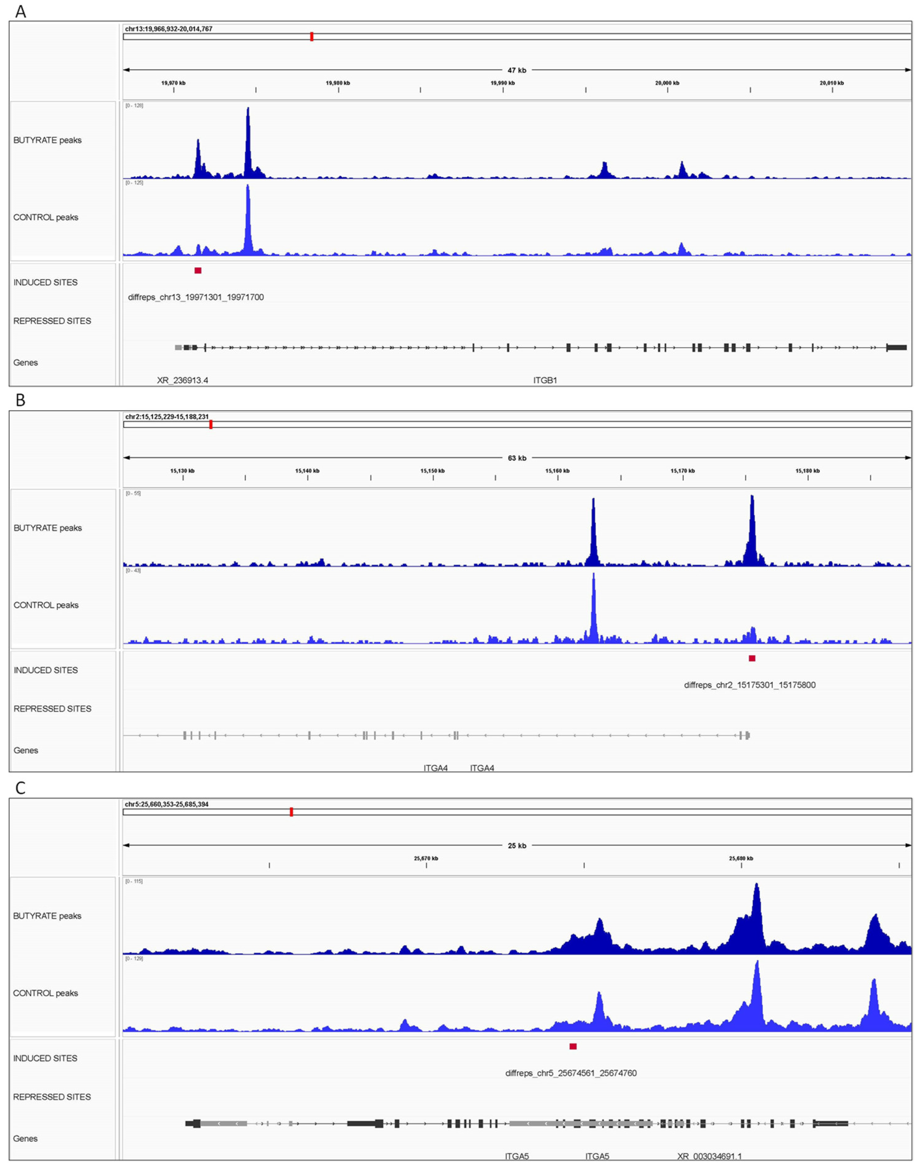 Biomolecules 12 01177 g006 Biomolecules 12 01177 g006